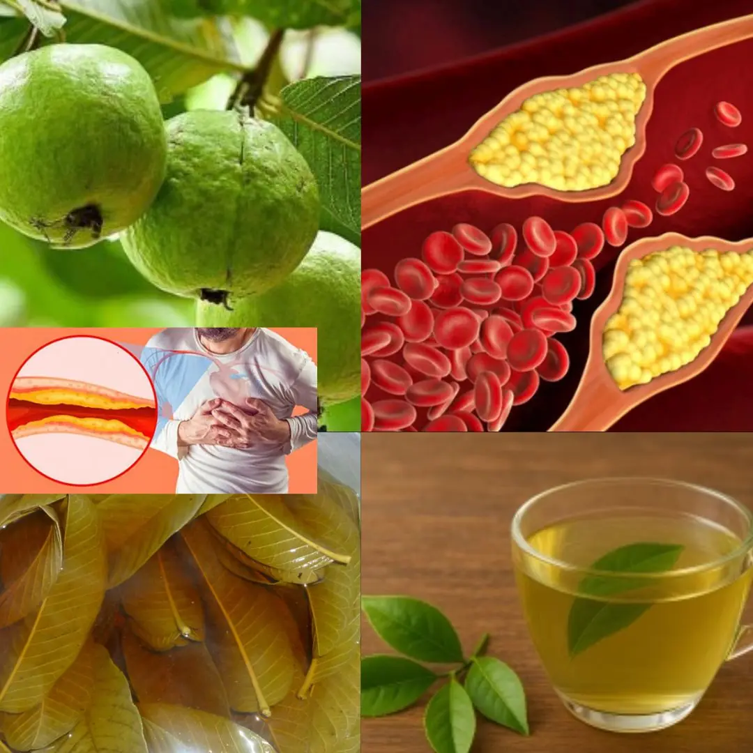 The Best Tea for Mornings and After Dinner: A Powerful Blend for Health