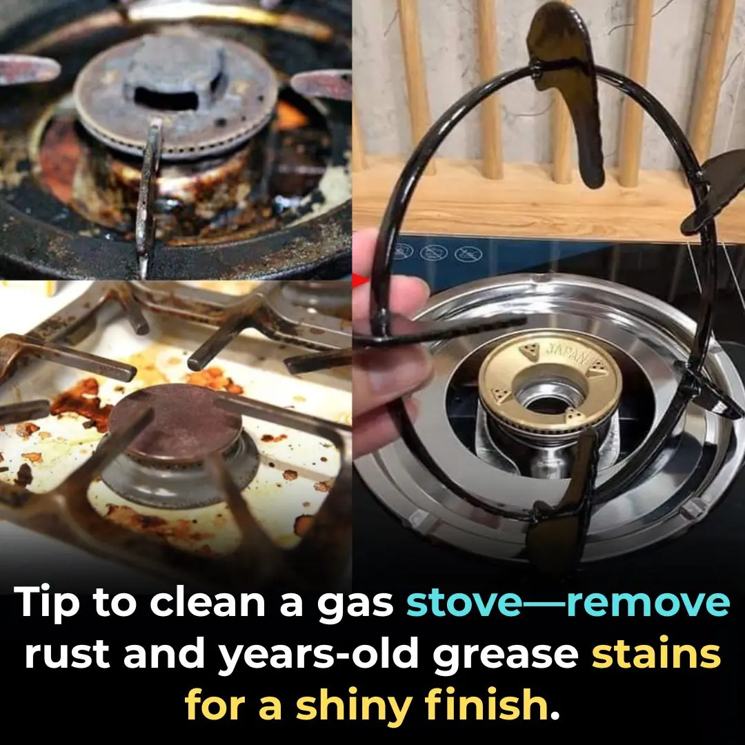 Natural Tricks to Clean Rusty, Greasy Gas Stoves — Make Them Shine Like New