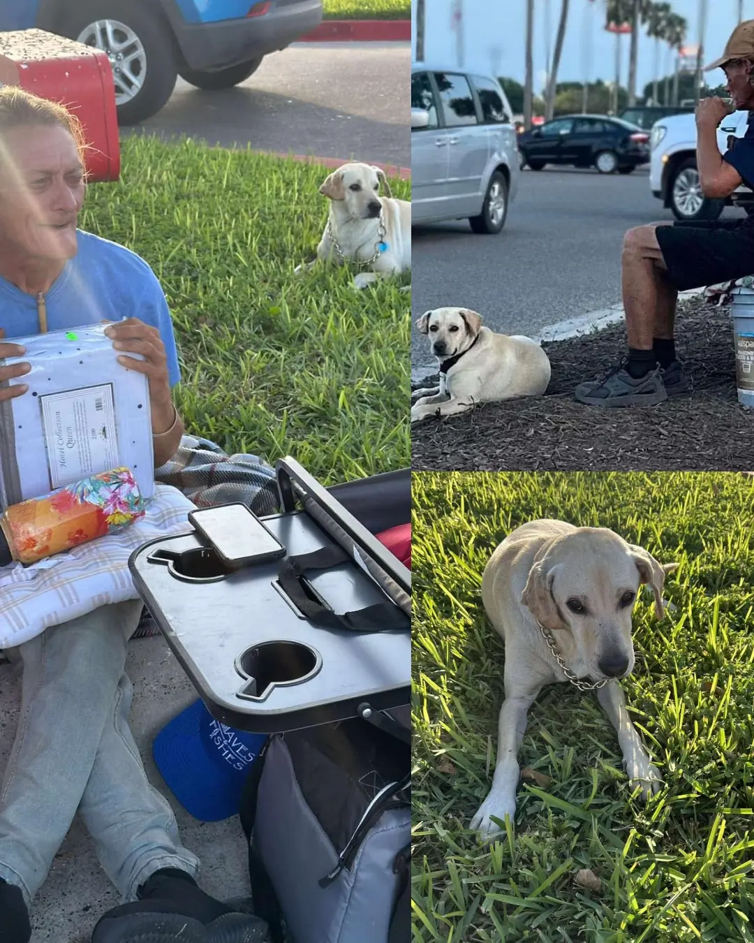 A Story of Love, Loyalty, and a Simple Wish for Help