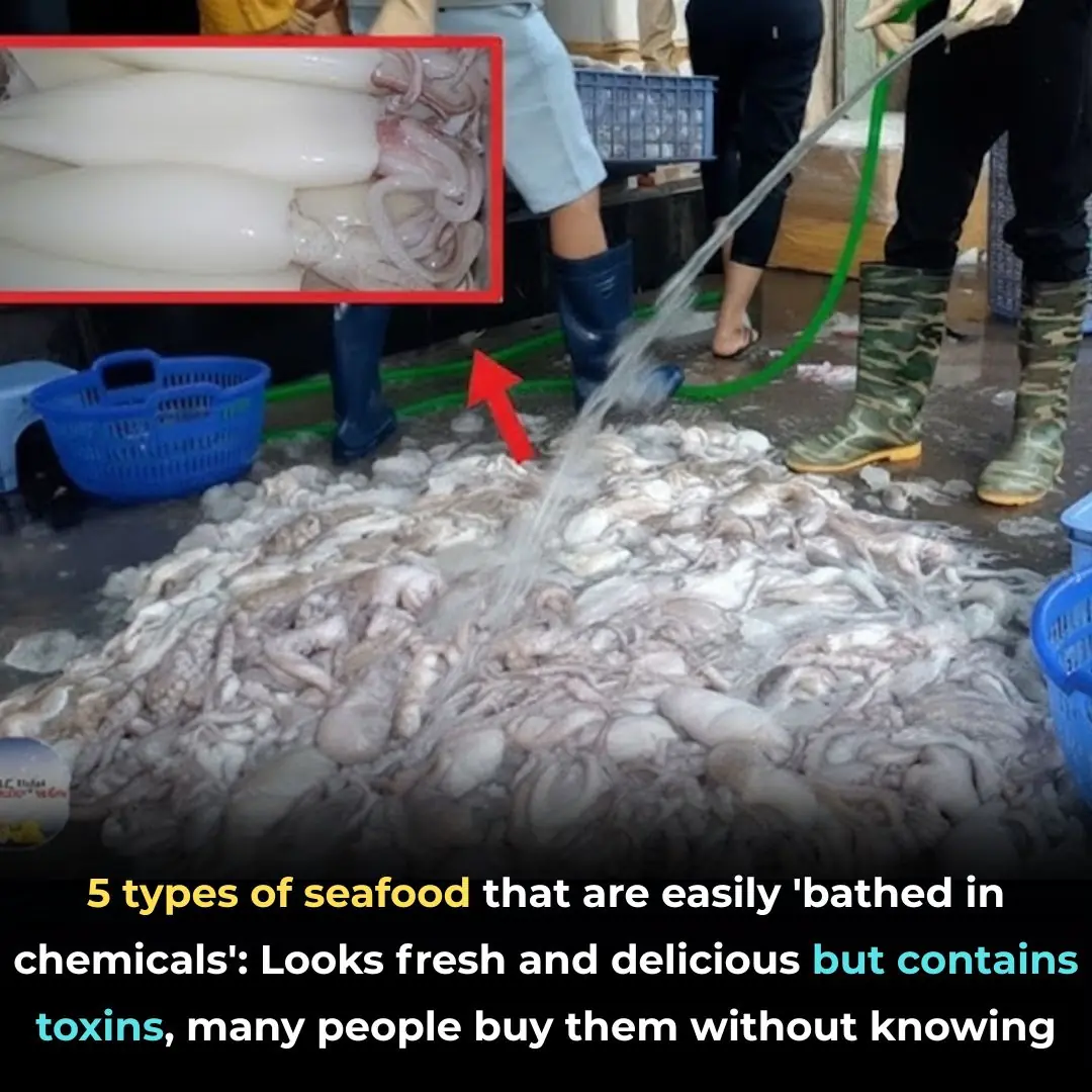 5 types of seafood that are easily 'bathed in chemicals': Looks fresh and delicious but contains toxins, many people buy them without knowing