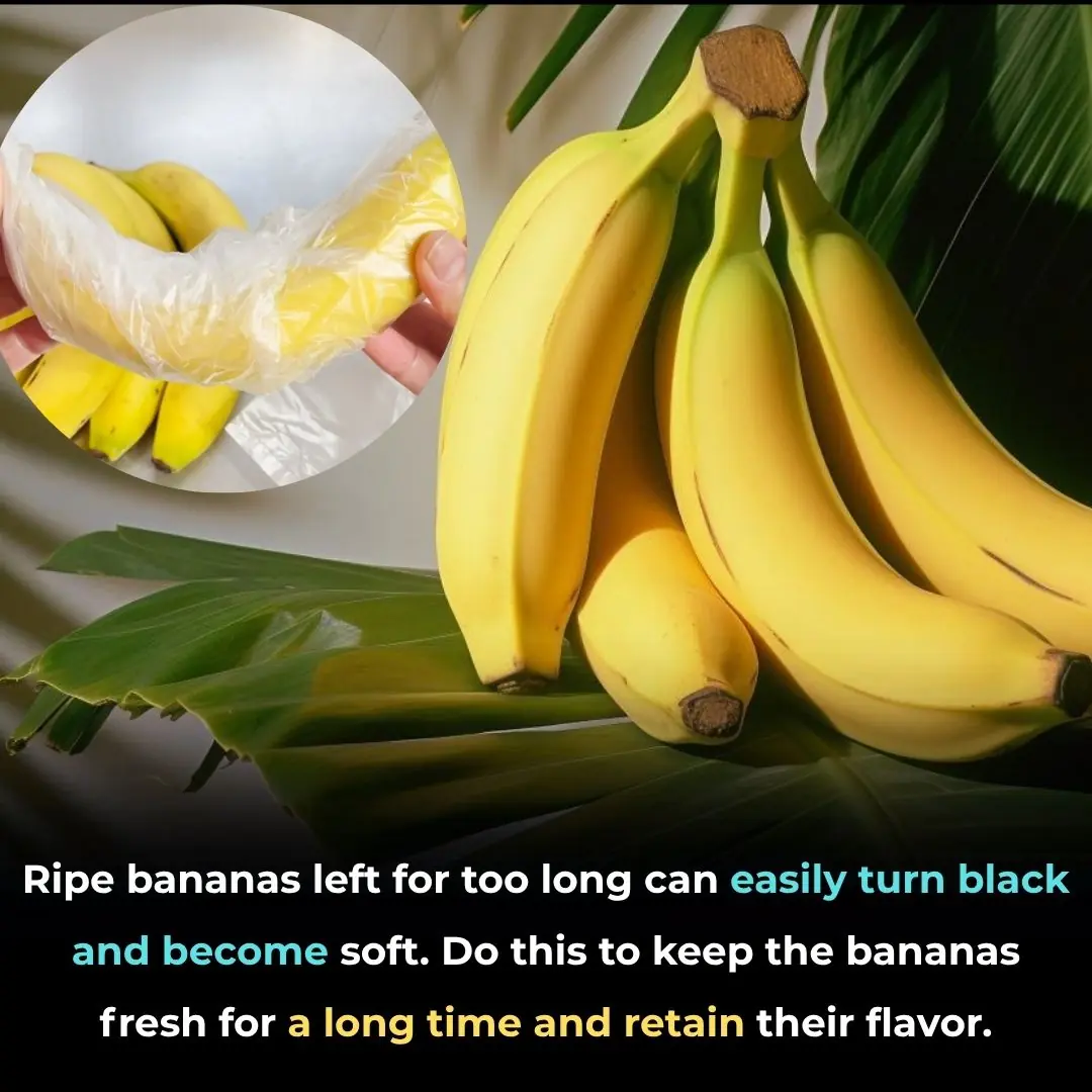 Ripe bananas left for too long can easily turn black and become soft. Do this to keep the bananas fresh for a long time and retain their flavor.