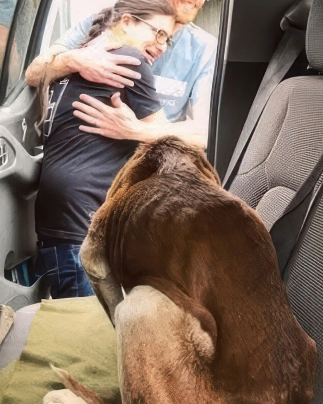 The Long Road Home: Max’s Journey Back to Love.