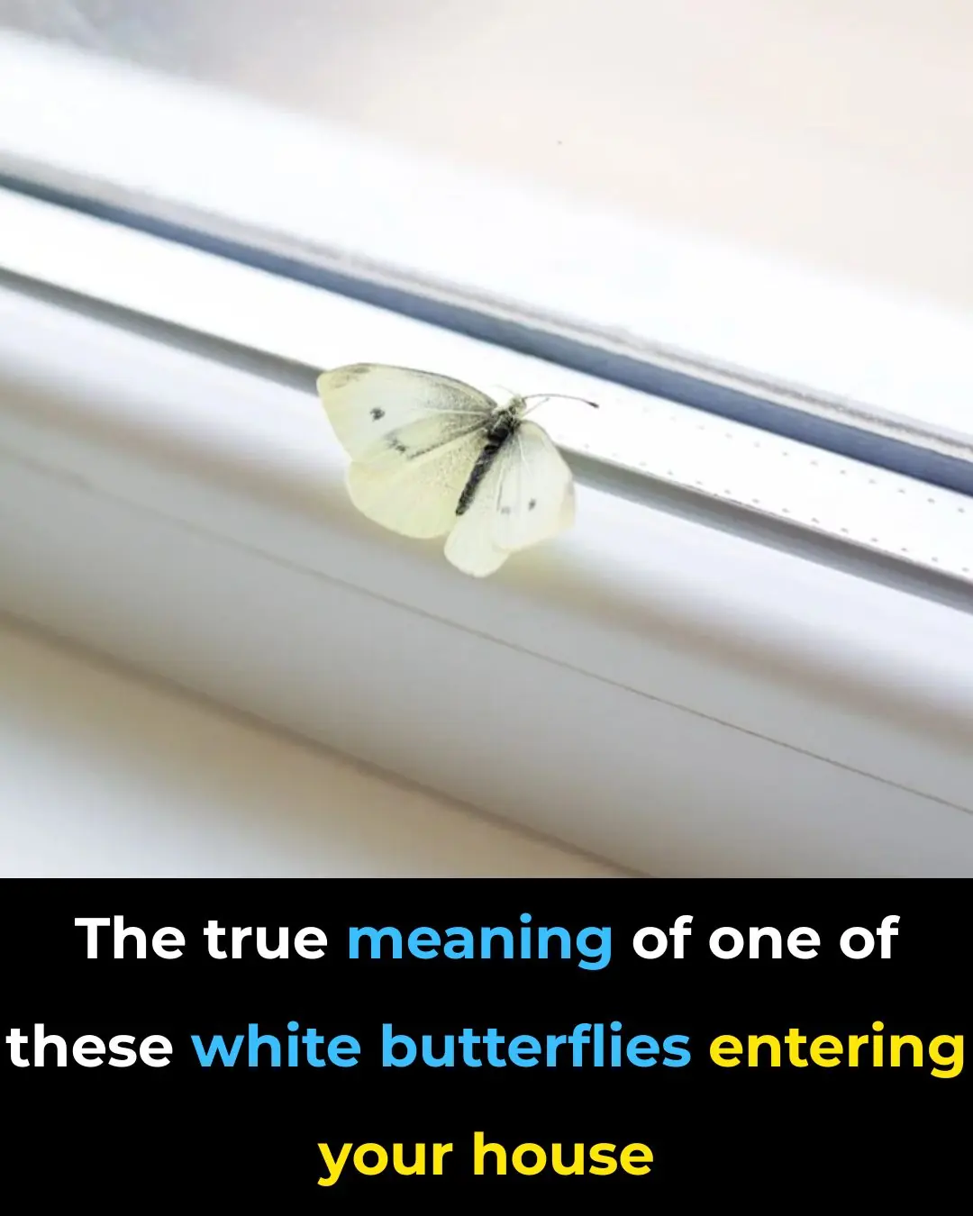 Its true meaning you probably don't know