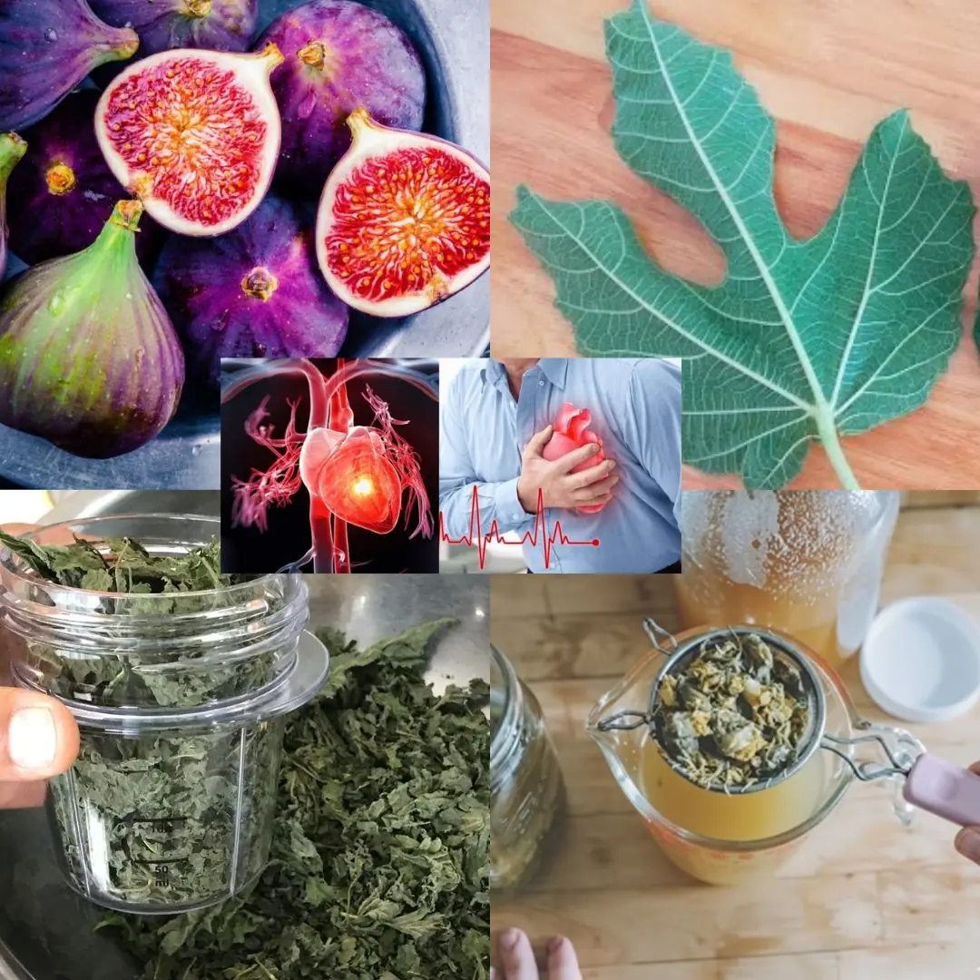 Fig Leaves: Surprising Benefits and Uses