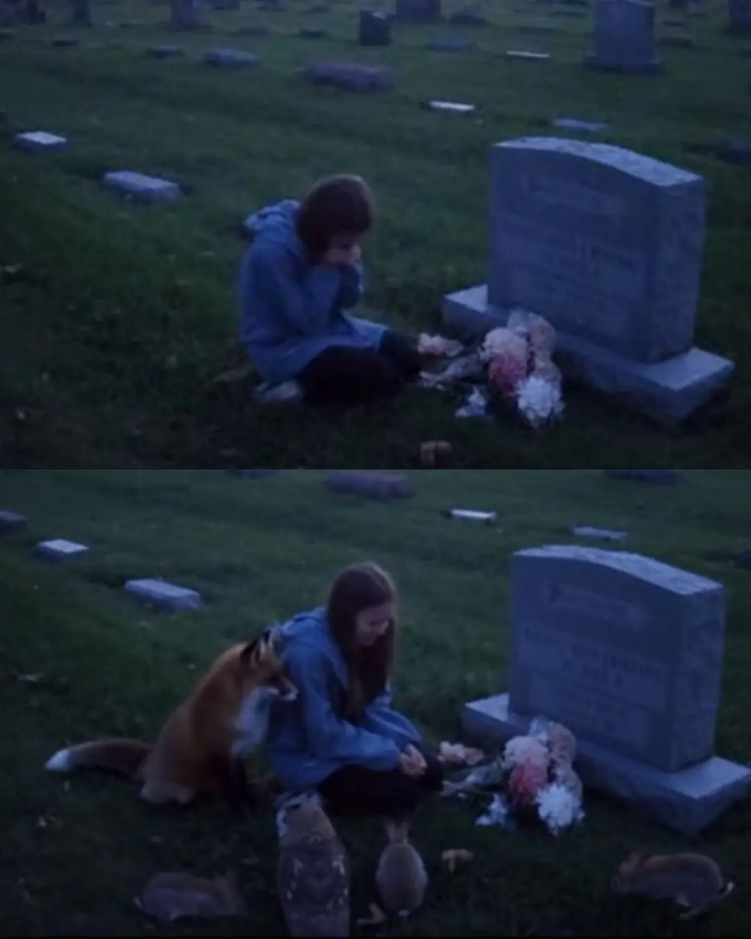 When Nature Came to Mourn: The Little Girl and the Promise Her Father Kept.