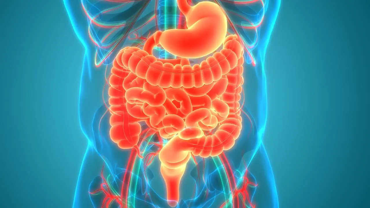 7 Warning Signs of Diverticulitis Most Doctors Miss
