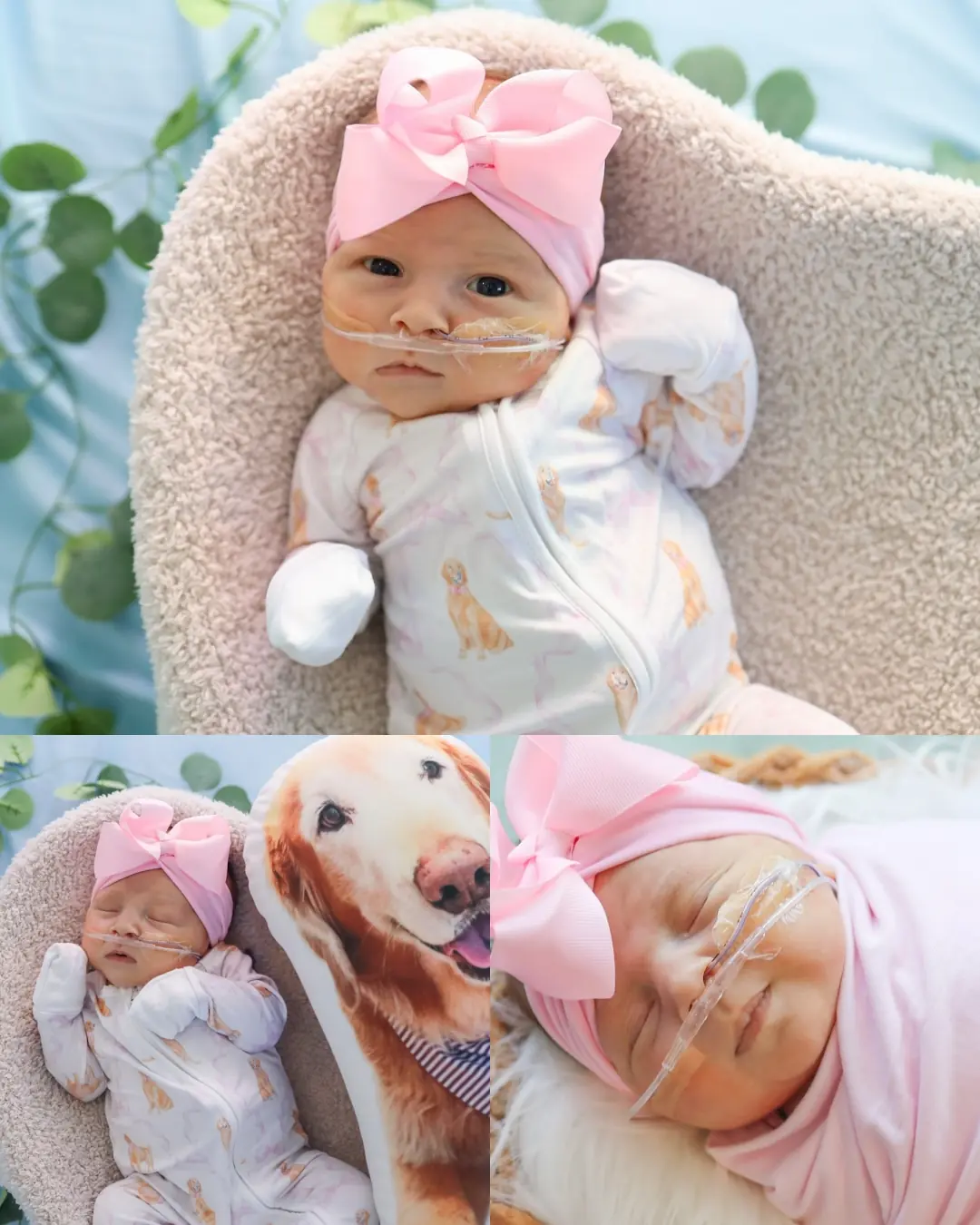 Baby Rawlings: A Valentine’s Wish That Became Forever Memories