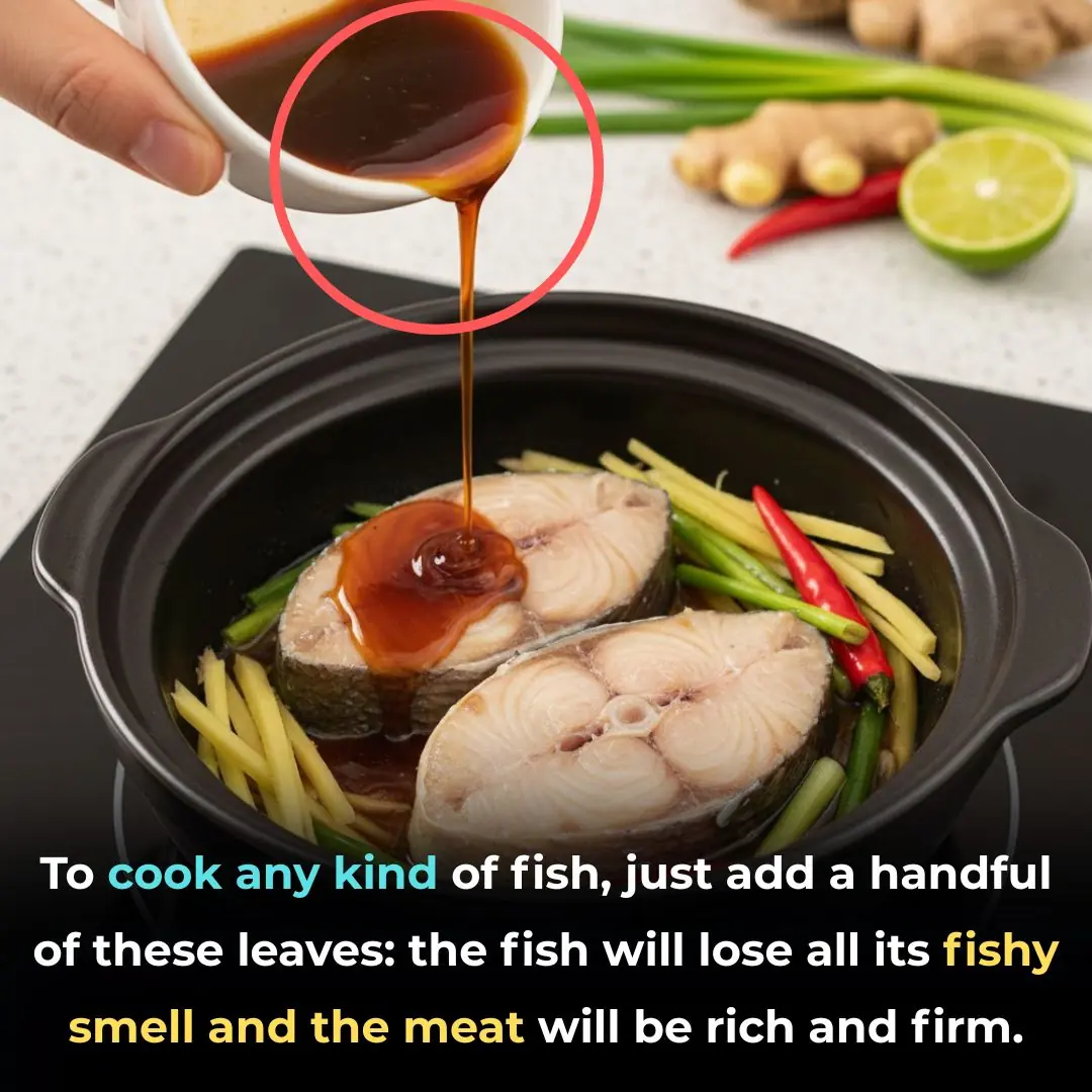 To cook any kind of fish, just add a handful of these leaves: the fish will lose all its fishy smell and the meat will be rich and firm.