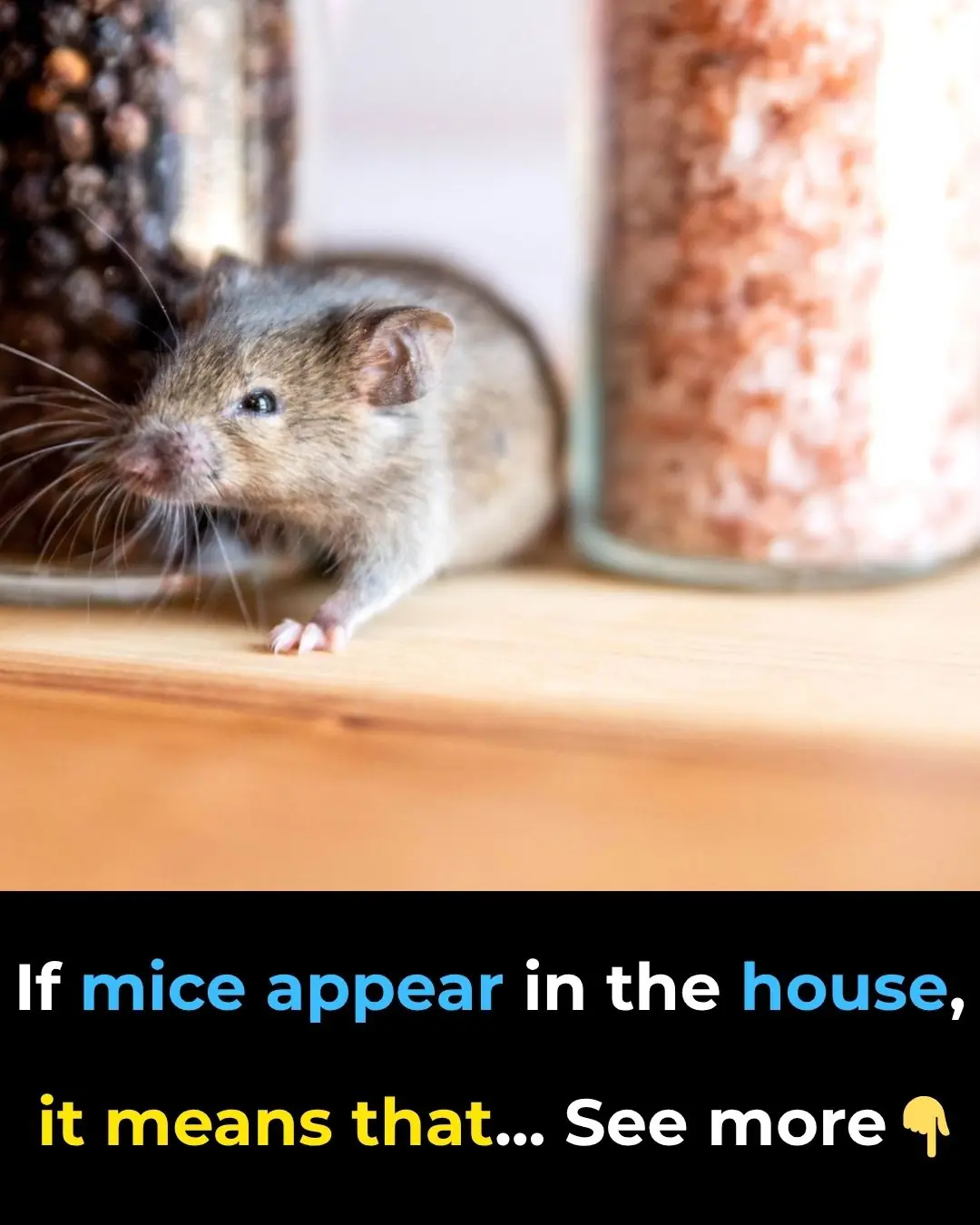 If mice appear in the house, it means that...