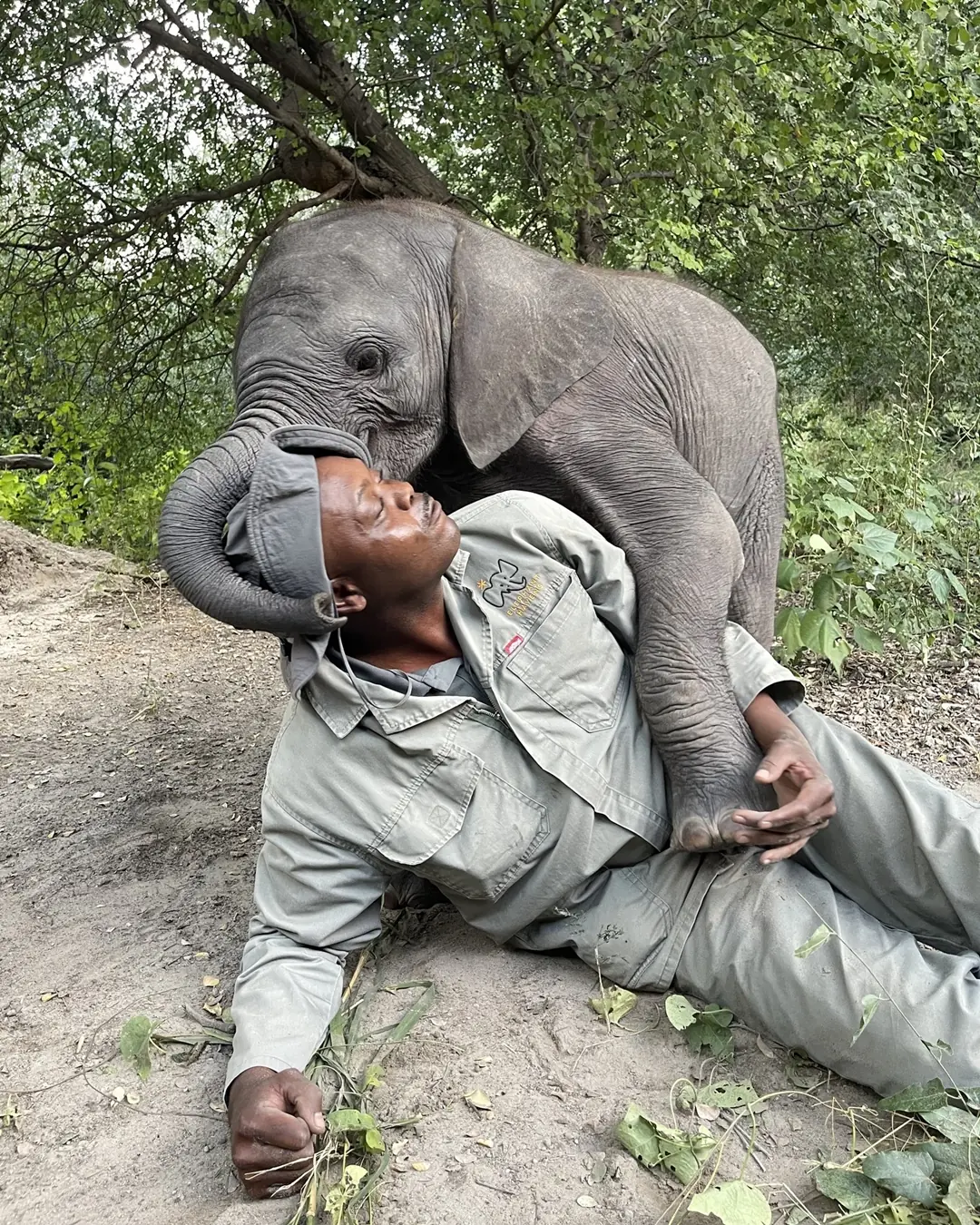 When Rescue Becomes Family: The Story of Baby Joy and KT.
