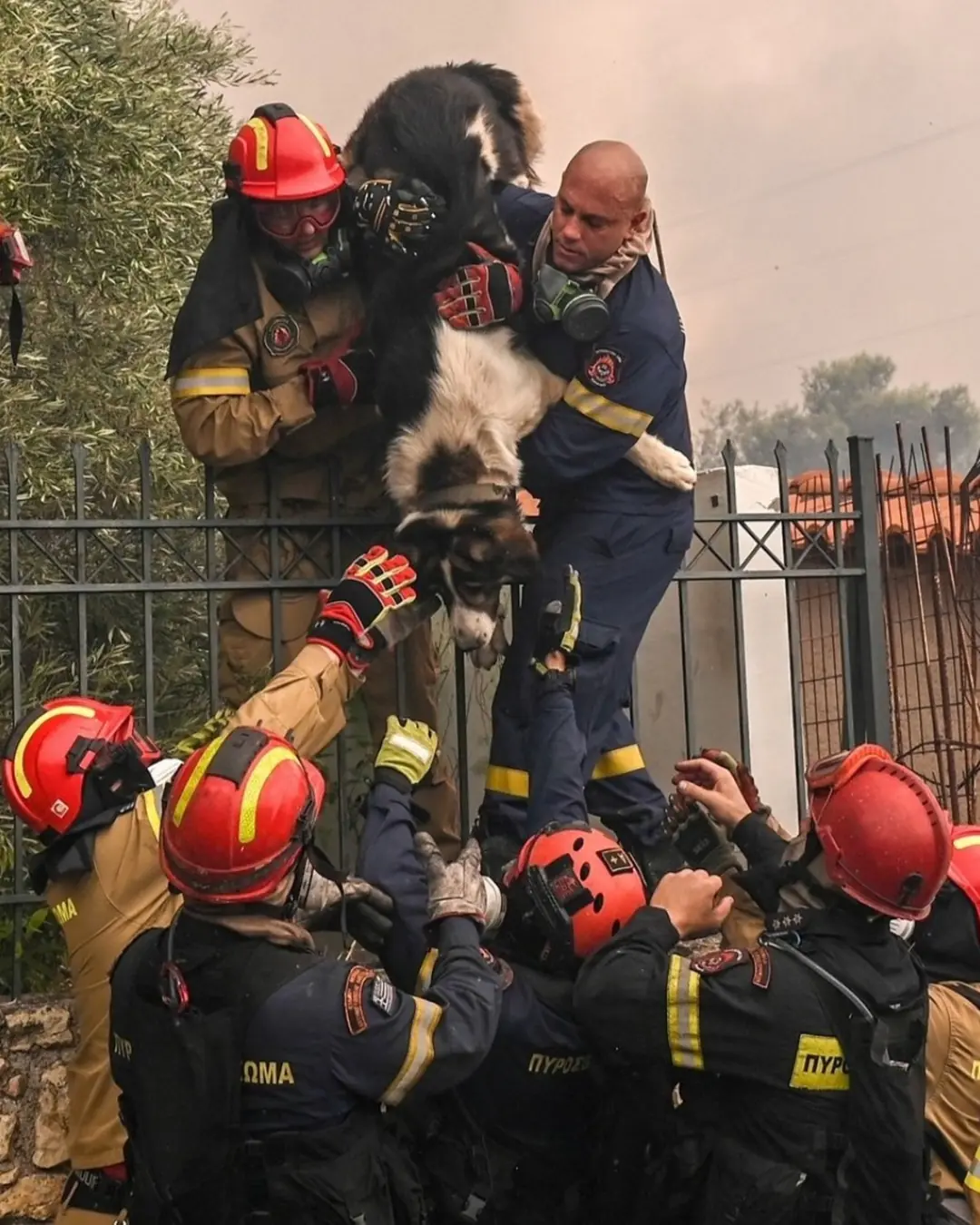 Heroes in the Flames: The Firefighters Who Saved More Than Lives.