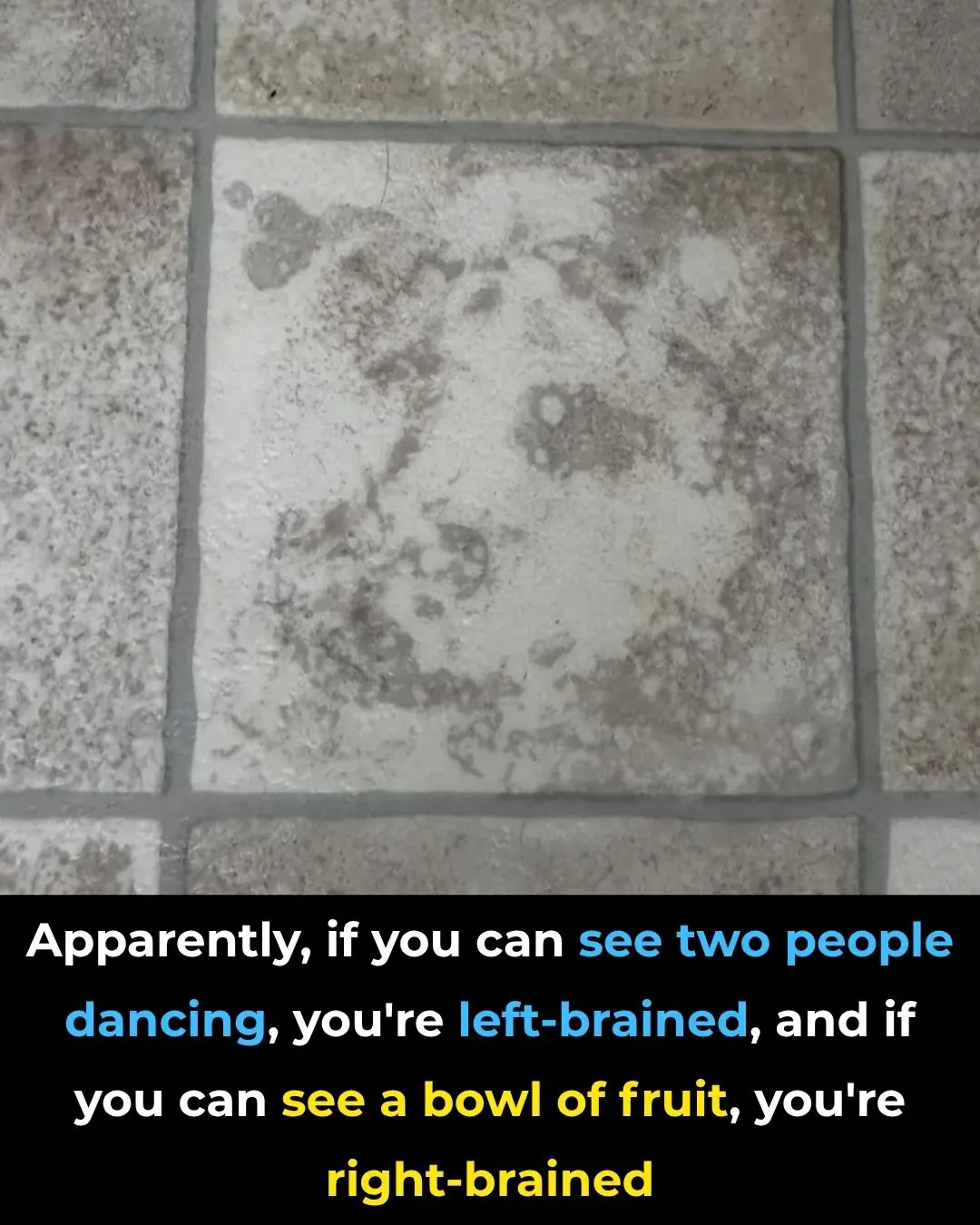 Why Do We Perceive Faces in Ordinary Objects?