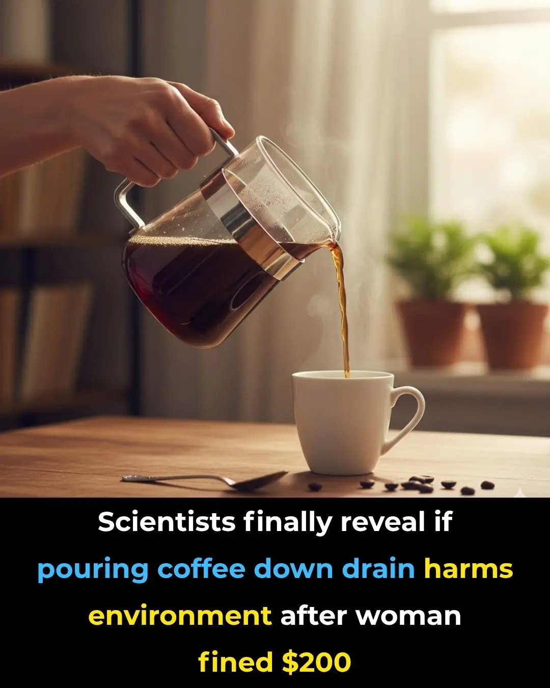 Scientists finally reveal if pouring coffee down drain harms environment after woman fined $200