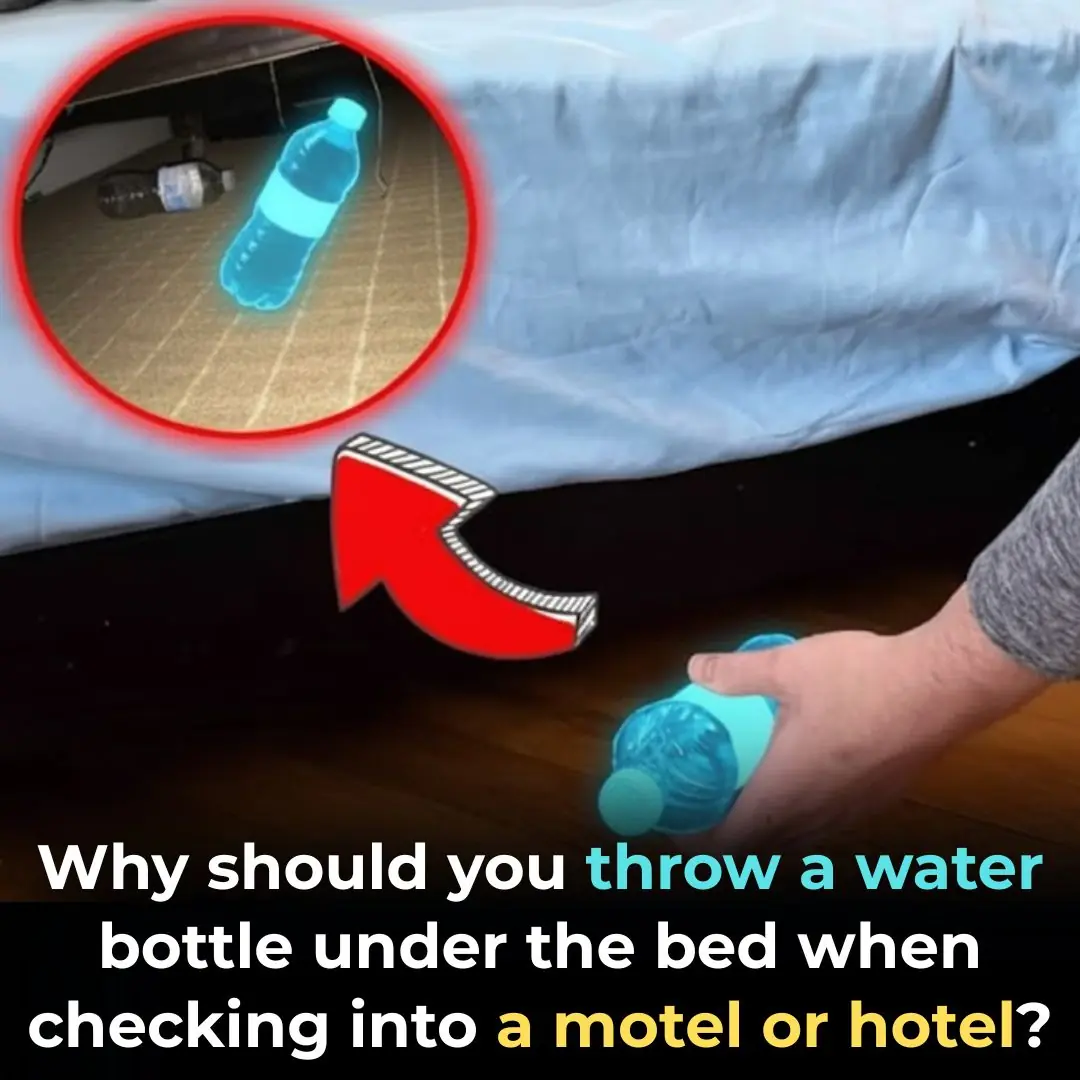 Why should you throw a water bottle under the bed when checking into a motel or hotel?
