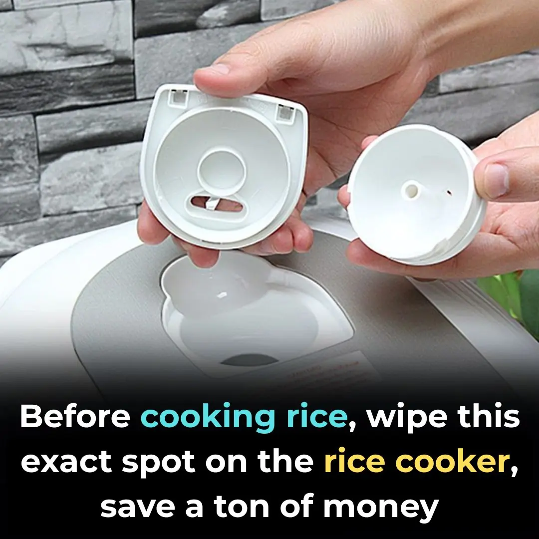 Before cooking rice, wipe this exact spot on the rice cooker, save a ton of money