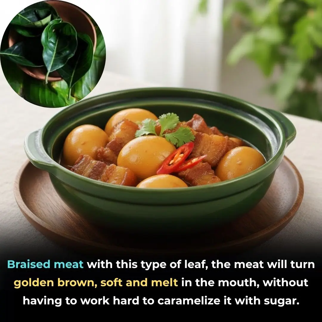 Braised meat with this type of leaf, the meat will turn golden brown, soft and melt in the mouth, without having to work hard to caramelize it with sugar.