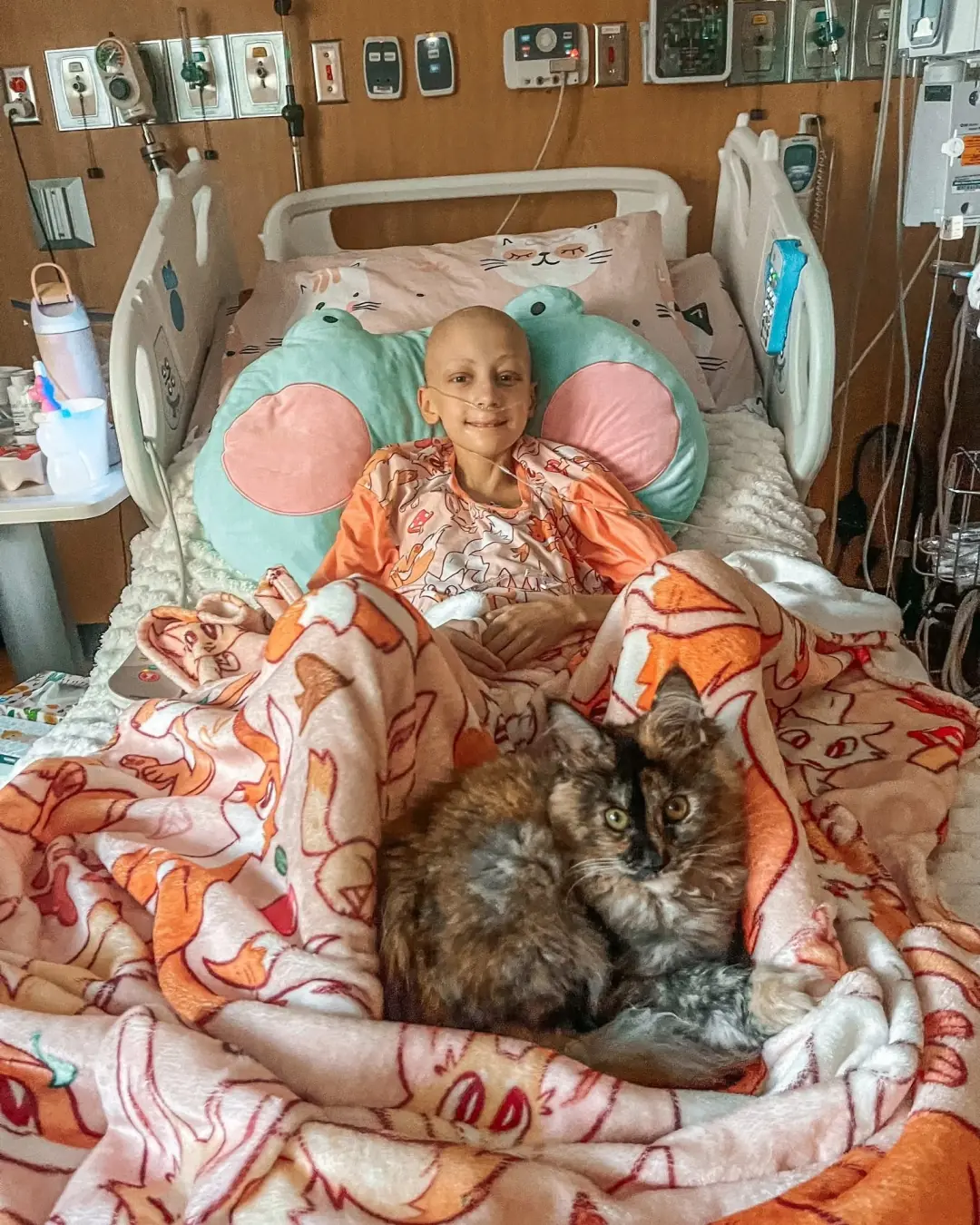 Sasha’s New Chance: A Journey of Courage, Pain, and Hope