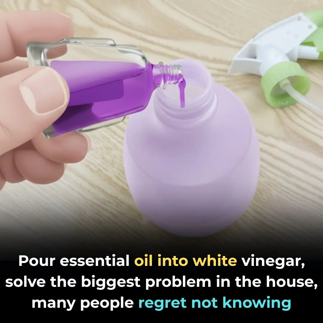 Pour essential oil into white vinegar, solve the biggest problem in the house, many people regret not knowing