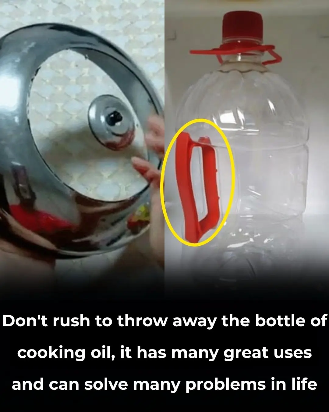 Don’t Throw Away the Handle of Your Used Cooking Oil Bottle — It Has Many Surprising Uses in Everyday Life