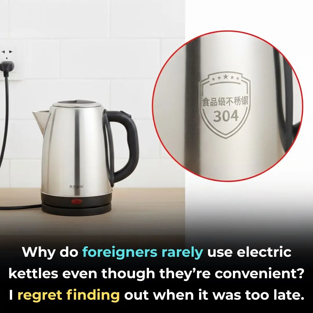 Why Electric Kettles Are Rare in Western Homes — Despite Their Convenience