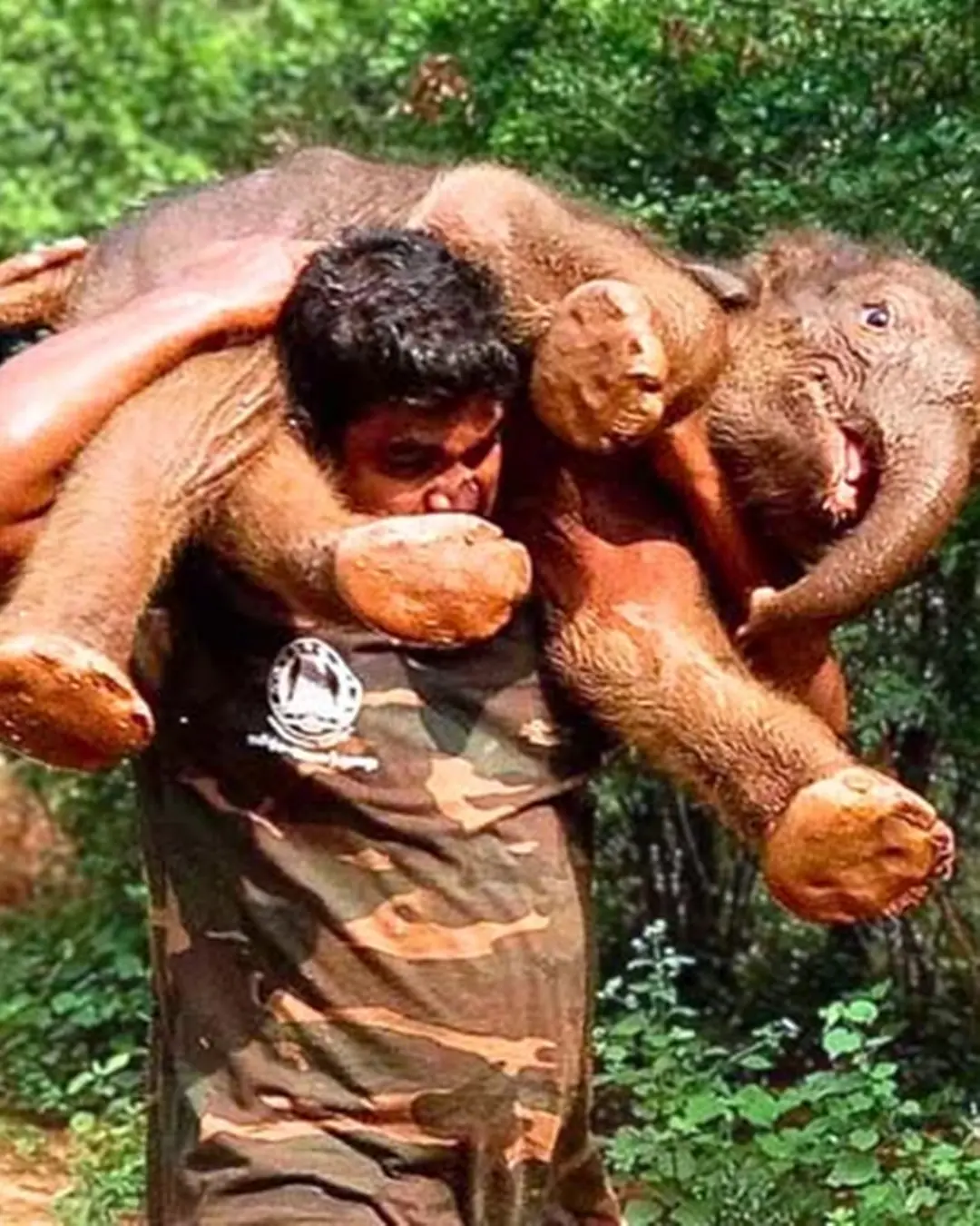 The Man Who Carried an Elephant.