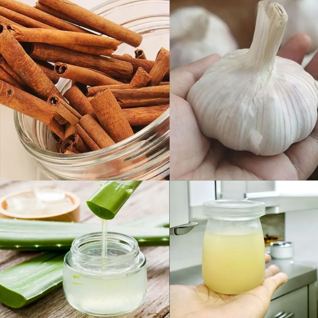 Cinnamon, Garlic, and Aloe Vera Drink: A Natural Blend That May Boost Immunity