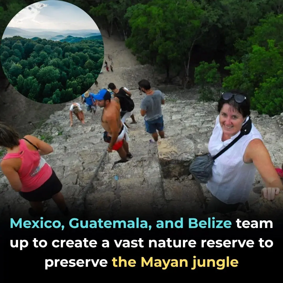 The Three Nations Working Together to Protect the Mayan Jungle