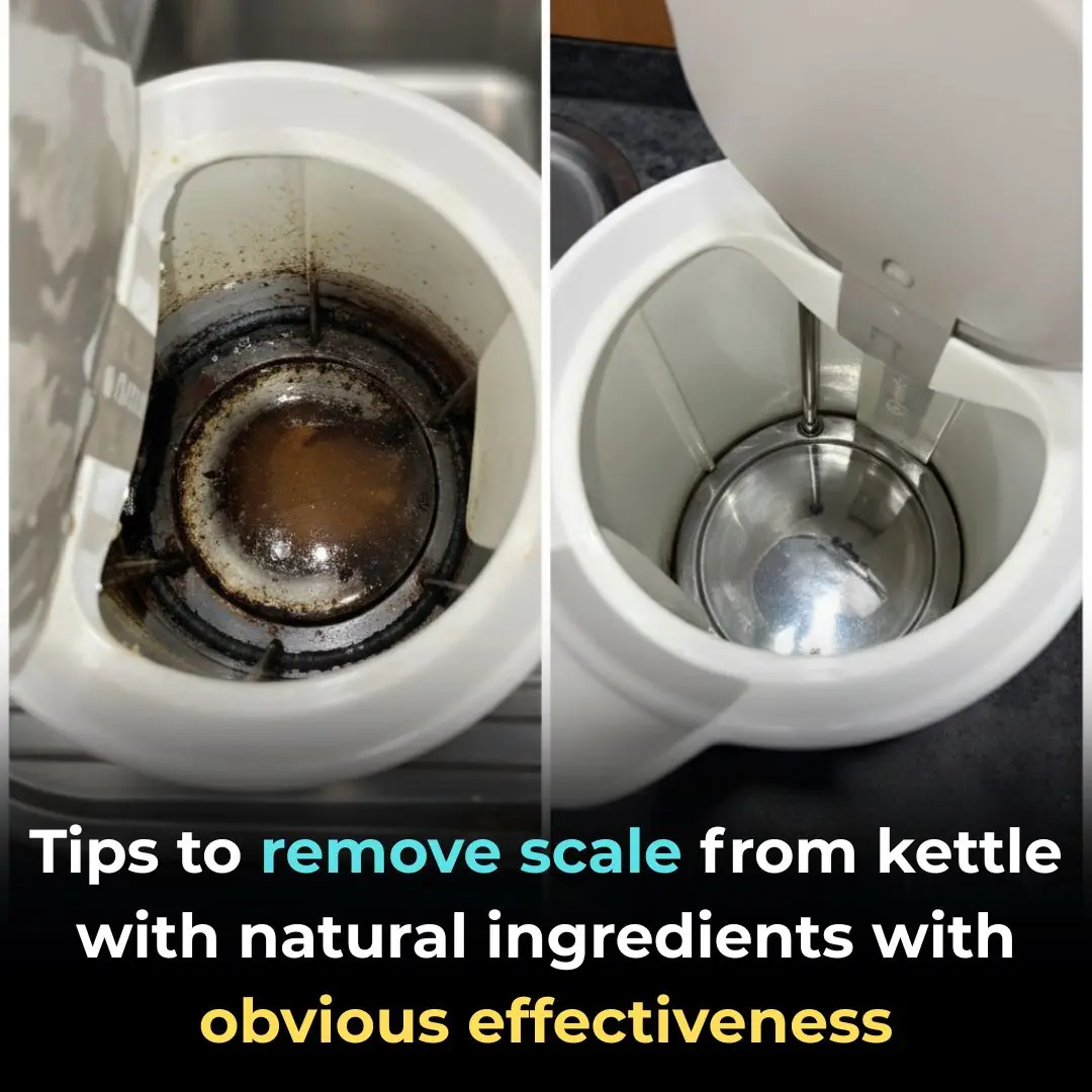 Tips to remove scale from kettle with natural ingredients with obvious effectiveness