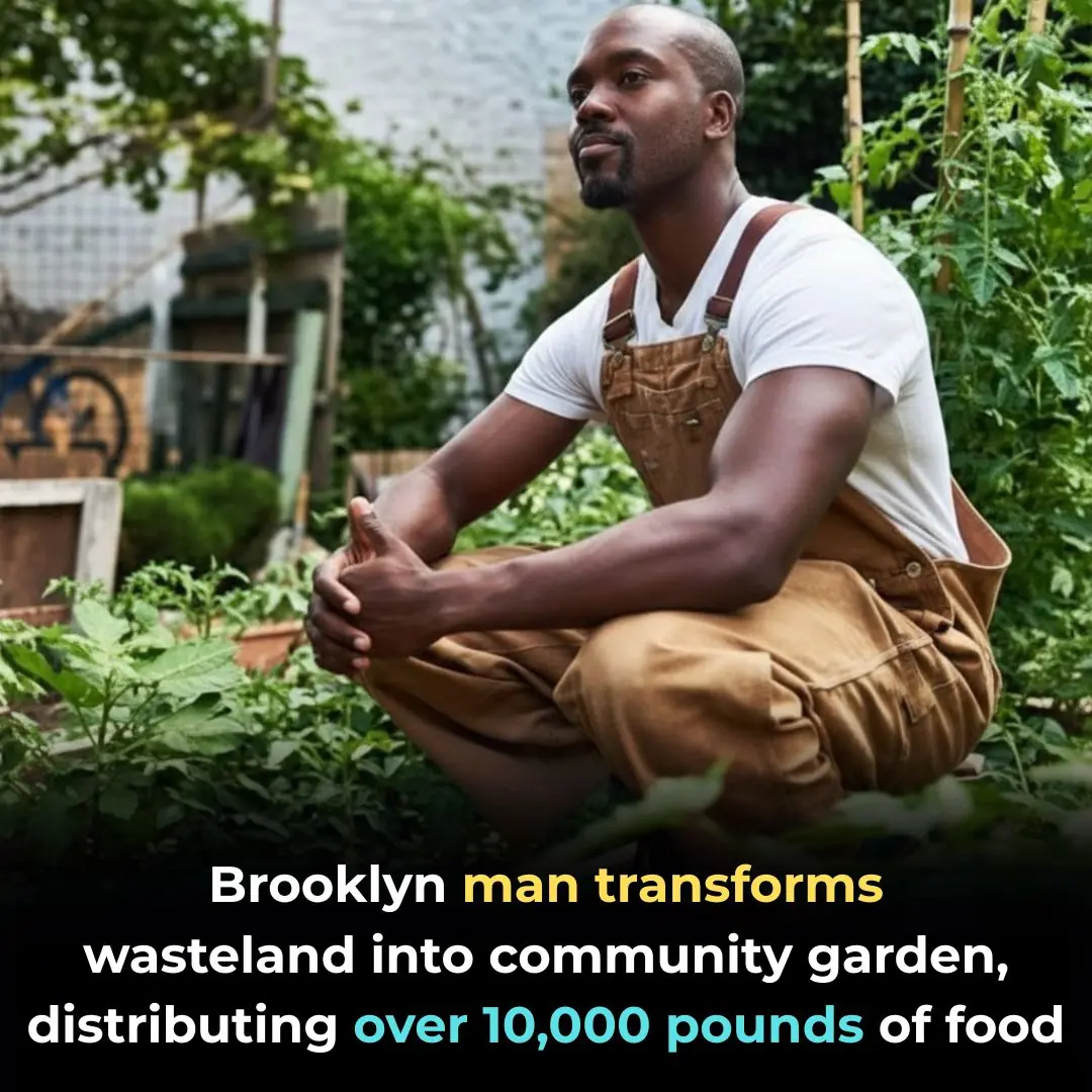 Brooklyn Man Transforms Wasteland Into Community Garden, Distributing Over 10,000 Pounds Of Food