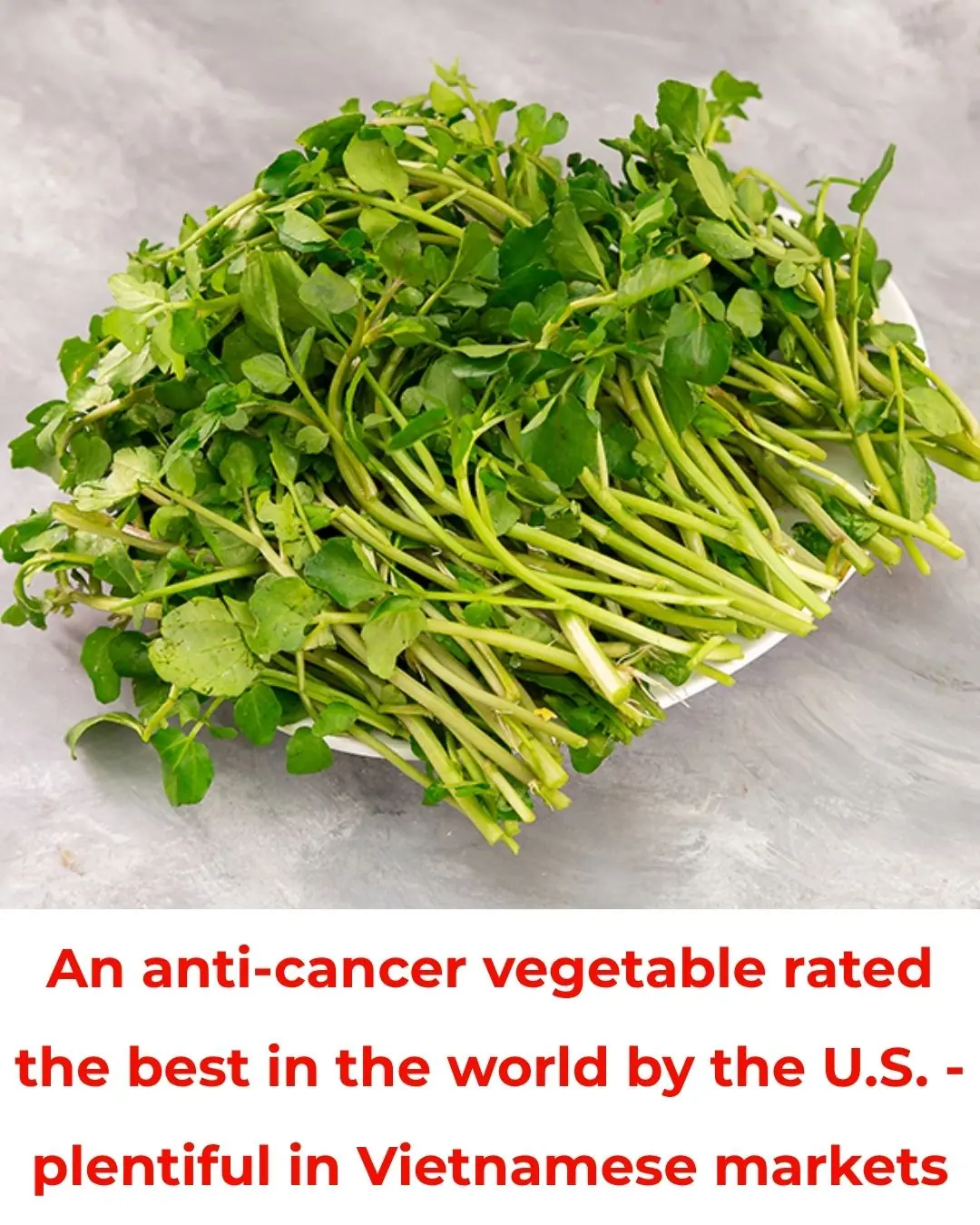 The World’s Healthiest Vegetable, Rated #1 by the U.S. CDC — and It’s Abundant in Vietnam