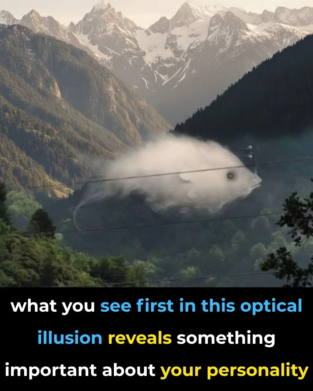 What you see reveals your personality