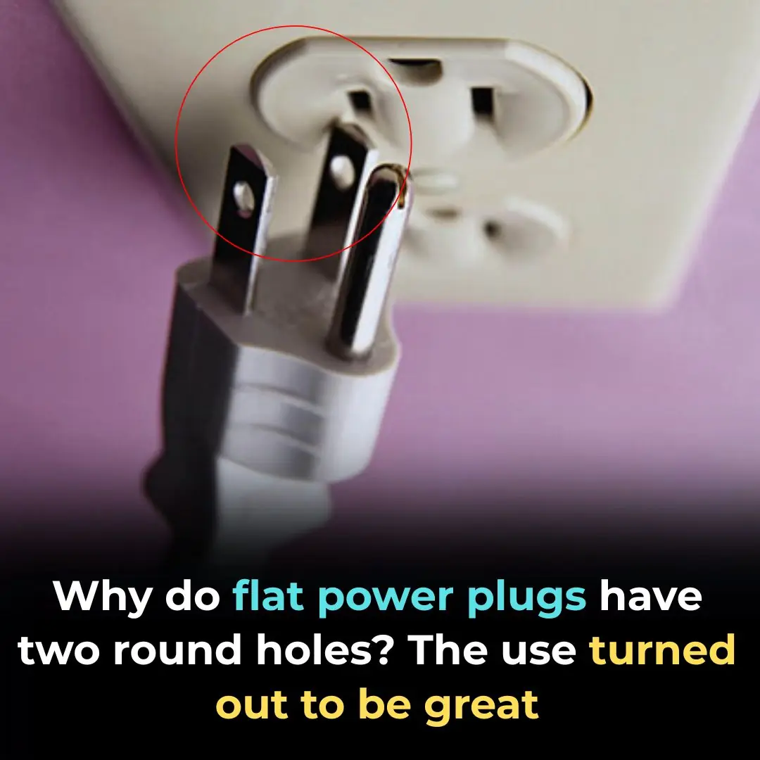 Why Do Flat Electrical Plugs Have Two Round Holes? The Hidden Purpose Is Brilliant