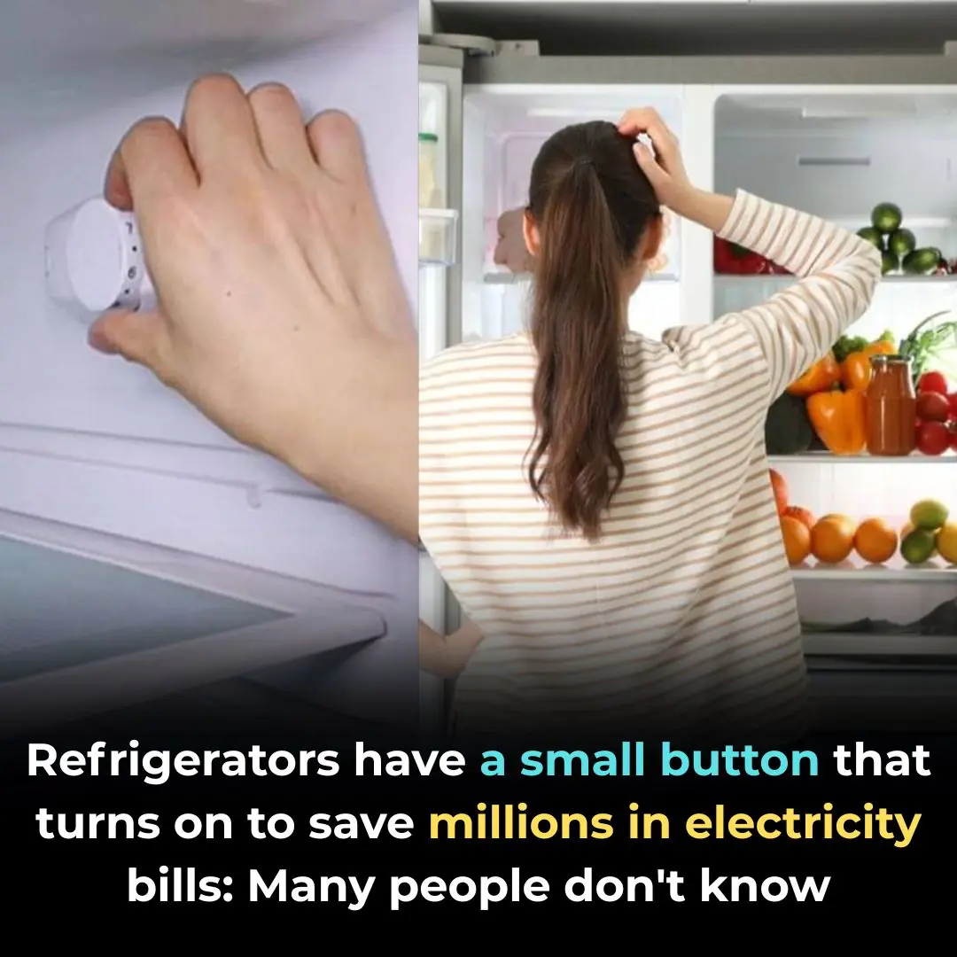 A Small Button on Your Refrigerator Can Save You Millions on Electricity: Many People Donât Know This
