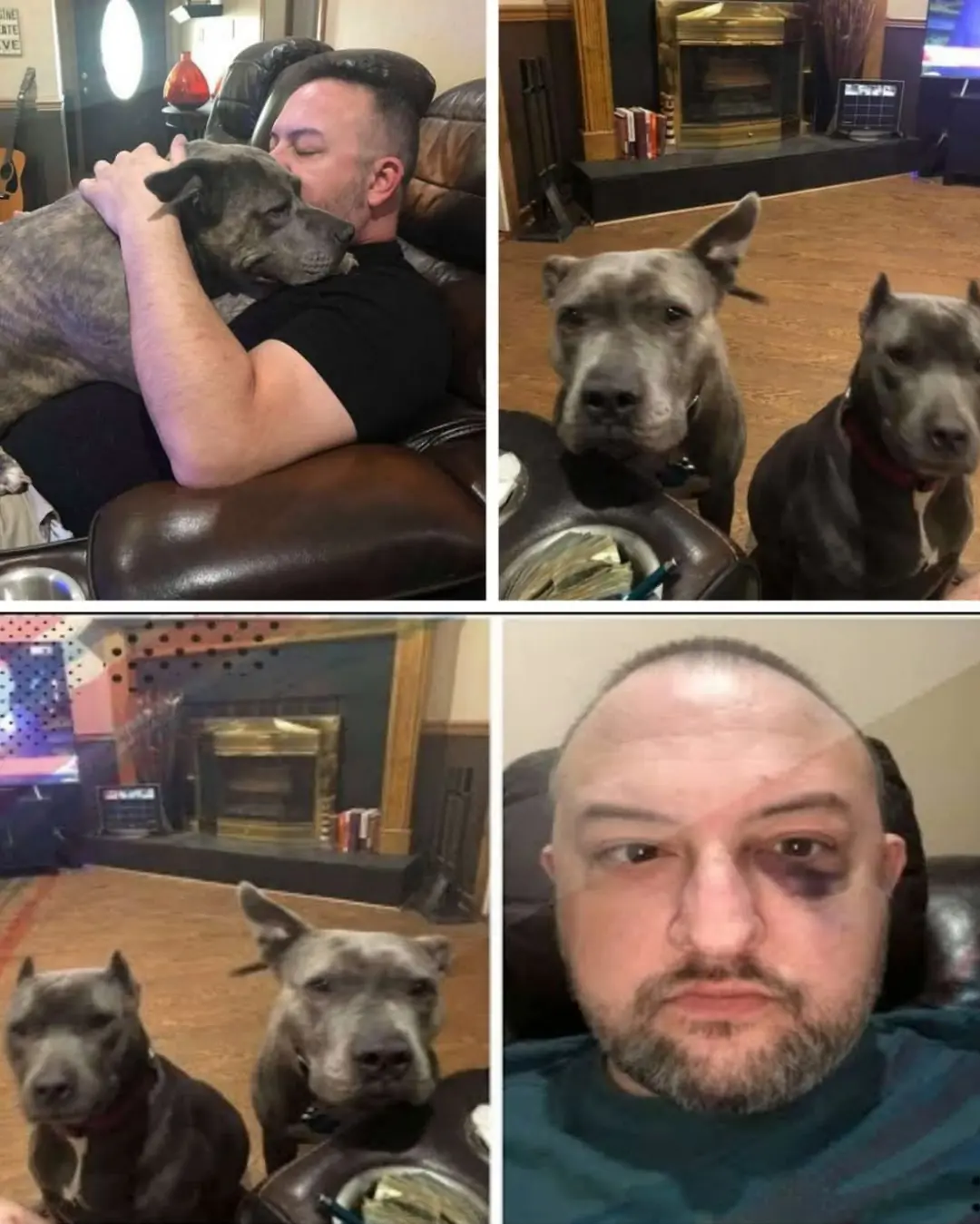 The Unseen Heroes: A Rescue Dog's Loyalty That Saved My Life