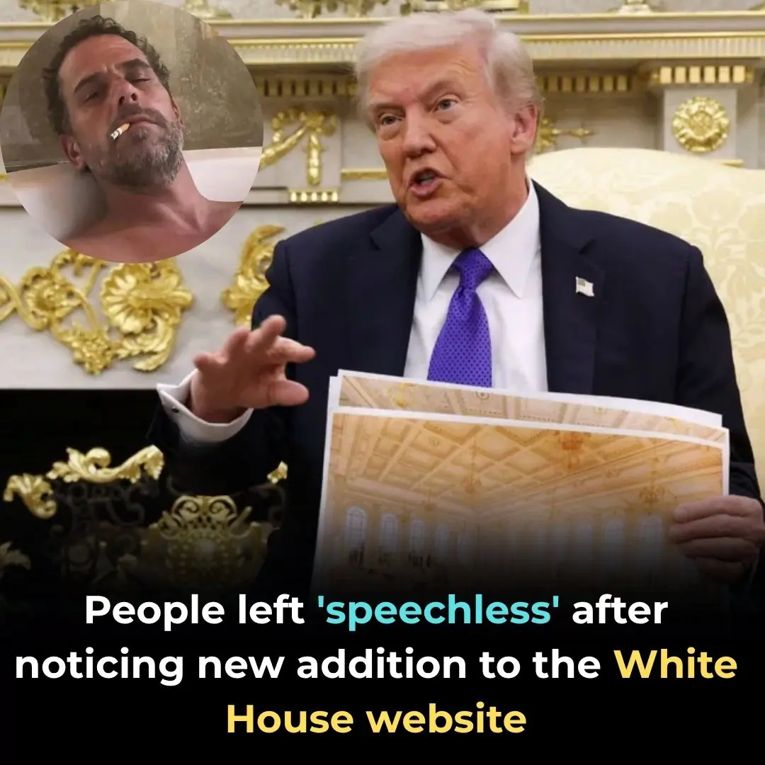 People left 'speechless' after noticing new addition to the White House website