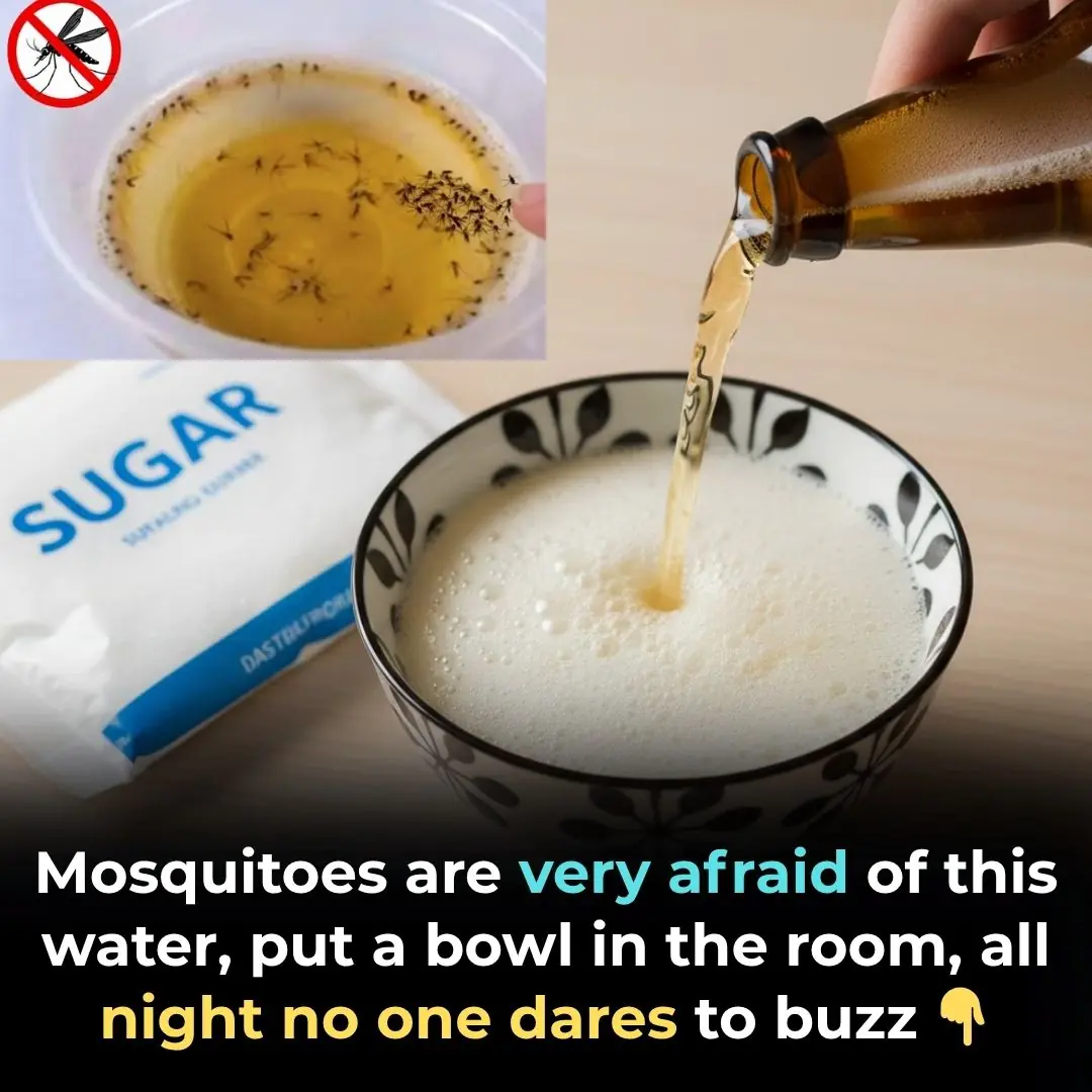 Mosquitoes are very afraid of this liquid; placing a bowl in the room keeps them from buzzing around all night.