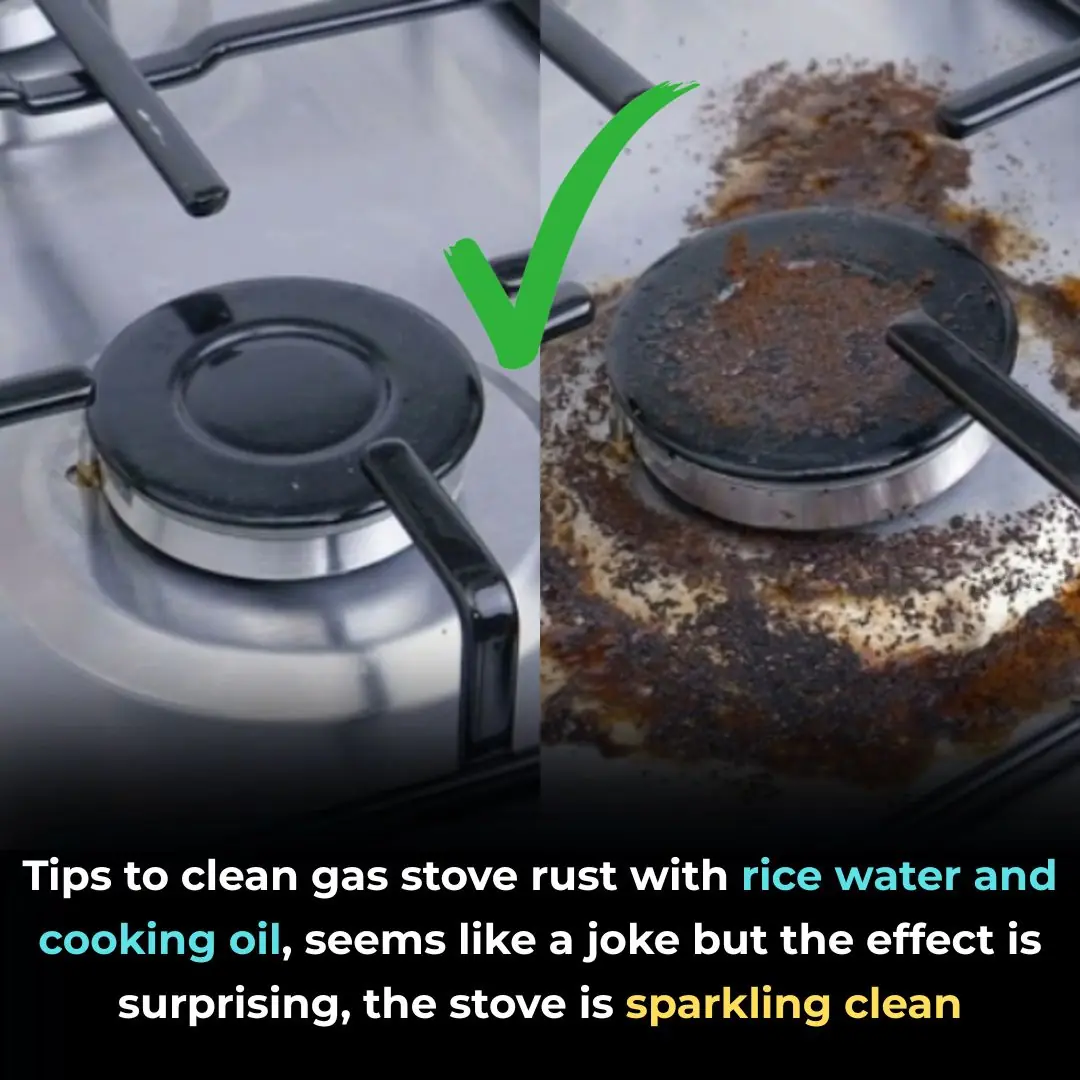 Tips to clean gas stove rust with rice water and cooking oil, seems like a joke but the effect is surprising, the stove is sparkling clean
