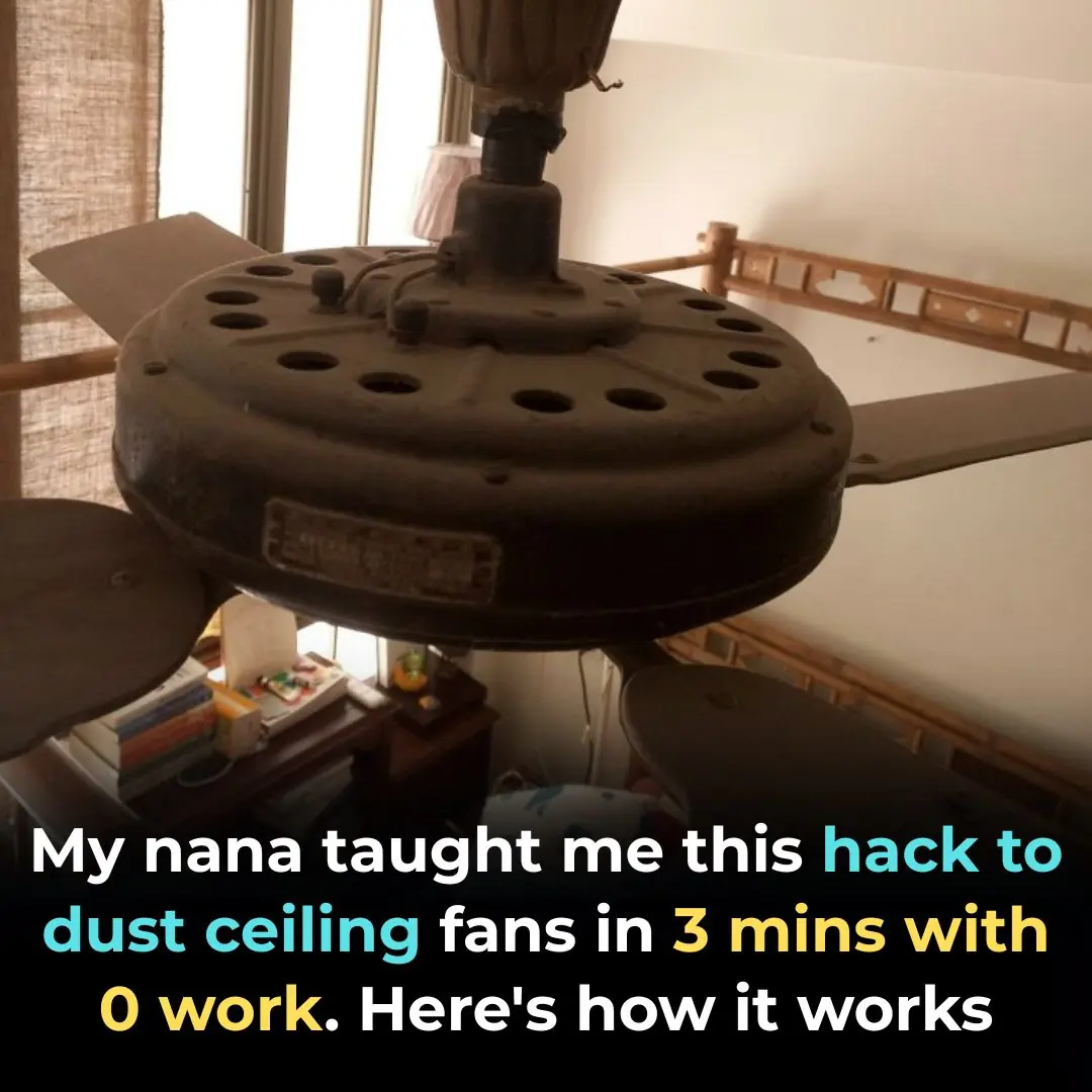 My nana taught me this hack to dust ceiling fans in 3 mins with 0 work. Here’s how it works