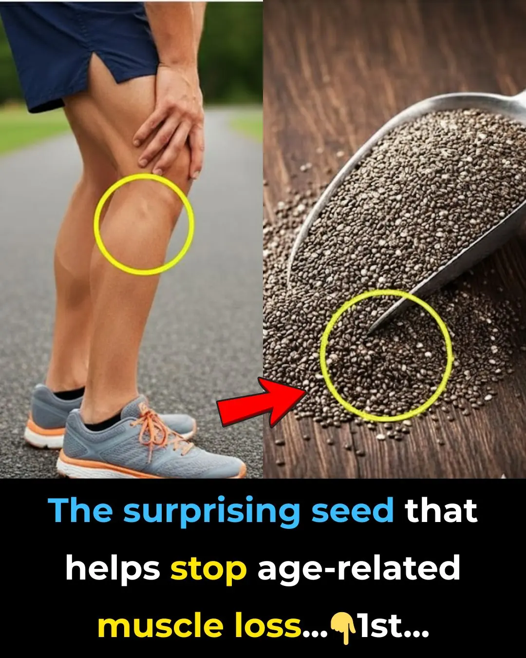 The surprising seed that helps stop age-related muscle loss