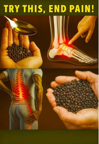 Old Doctors’ Secret: Mix Olive Oil + Black Pepper to Fix 11 Problems After 60 — See Results in 1 Week