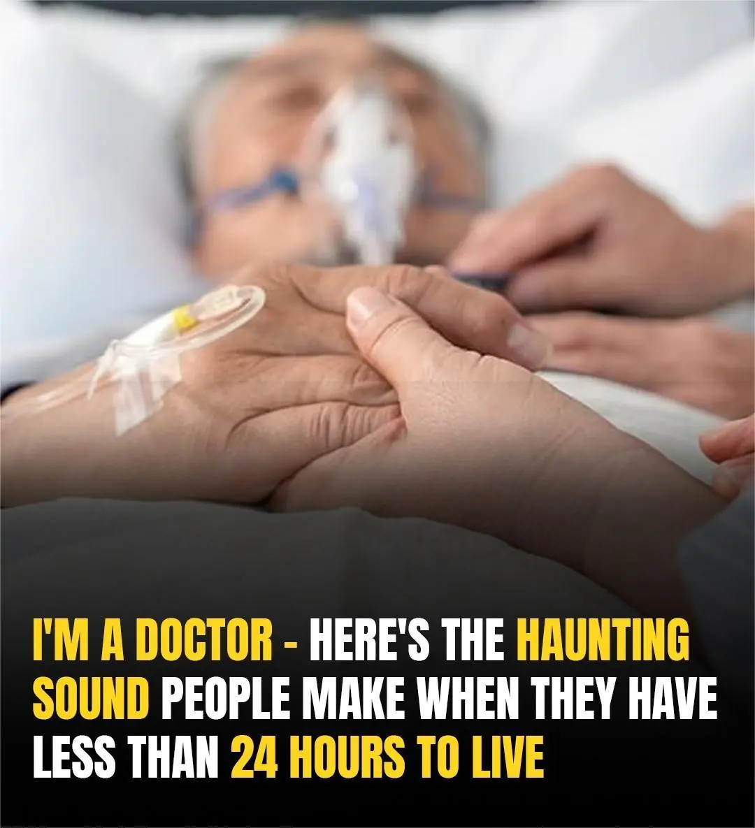 The Final Sound: What the “Death Rattle” Really Means in the Last 24 Hours of Life