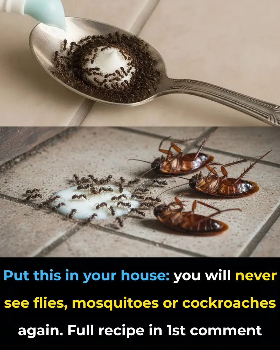 🕷️ Say Goodbye to Pests: A Natural Bathroom Trick That Helps Repel Insects