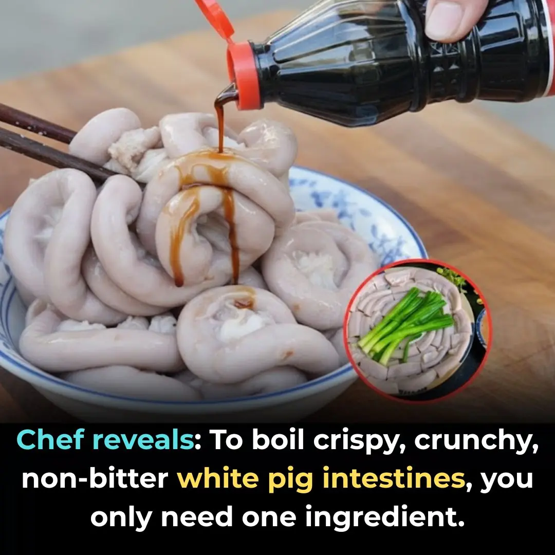 Chef reveals: To boil crispy, crunchy, non-bitter white pig intestines, you only need one ingredient.