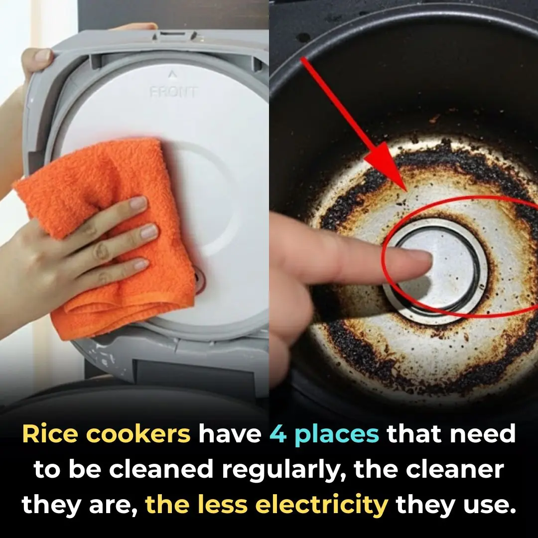 Rice cookers have 4 places that need to be cleaned regularly, the cleaner they are, the less electricity they use.