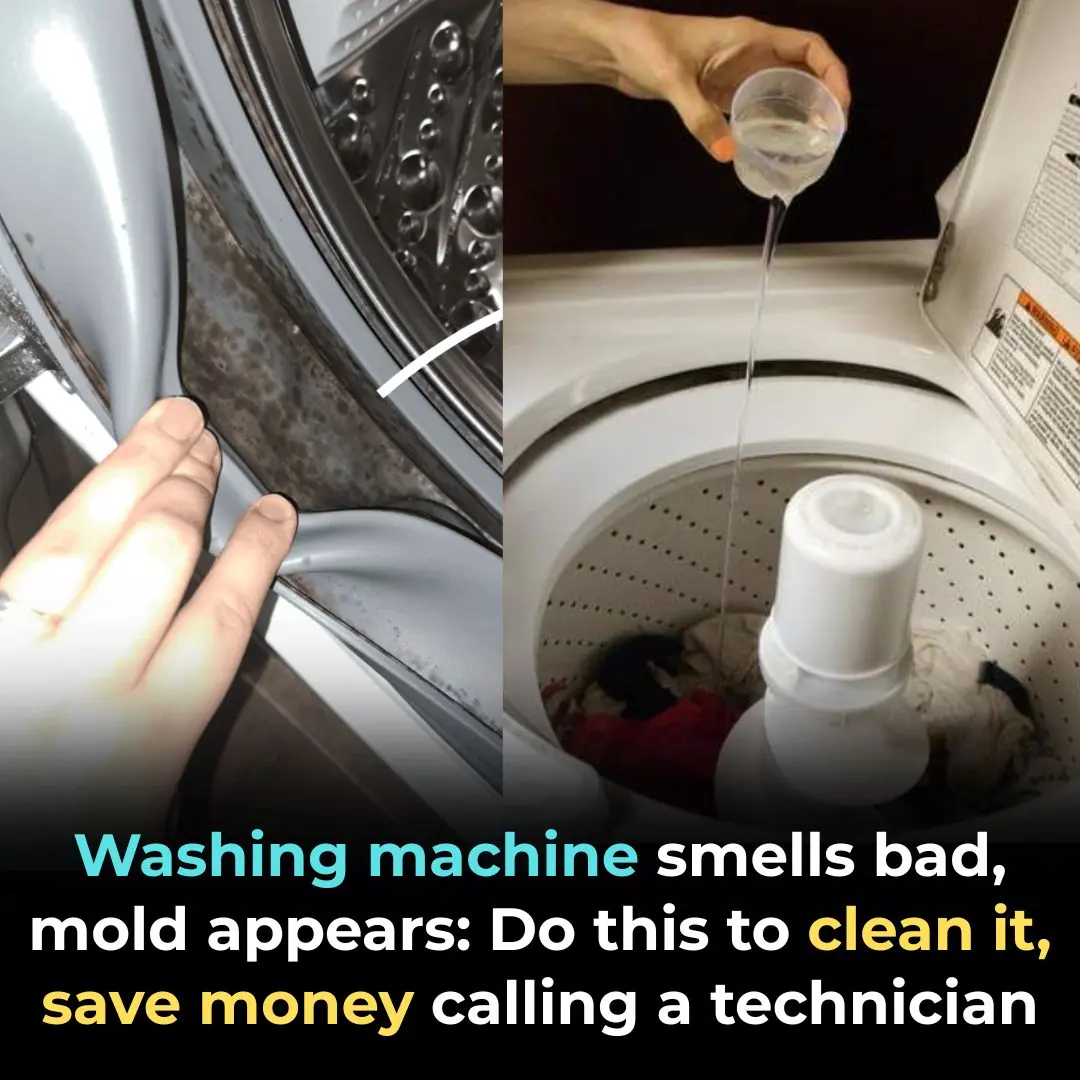 Washing machine smells bad, mold appears: Do this to clean it, save money calling a technician