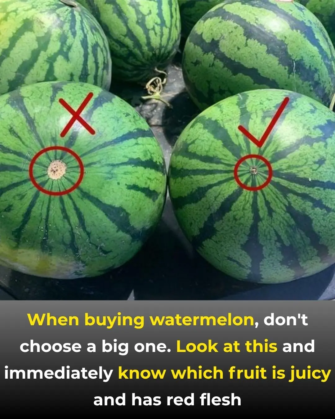 Don’t Choose the Biggest Watermelon – Look for This Instead to Find the Sweetest, Juiciest One!