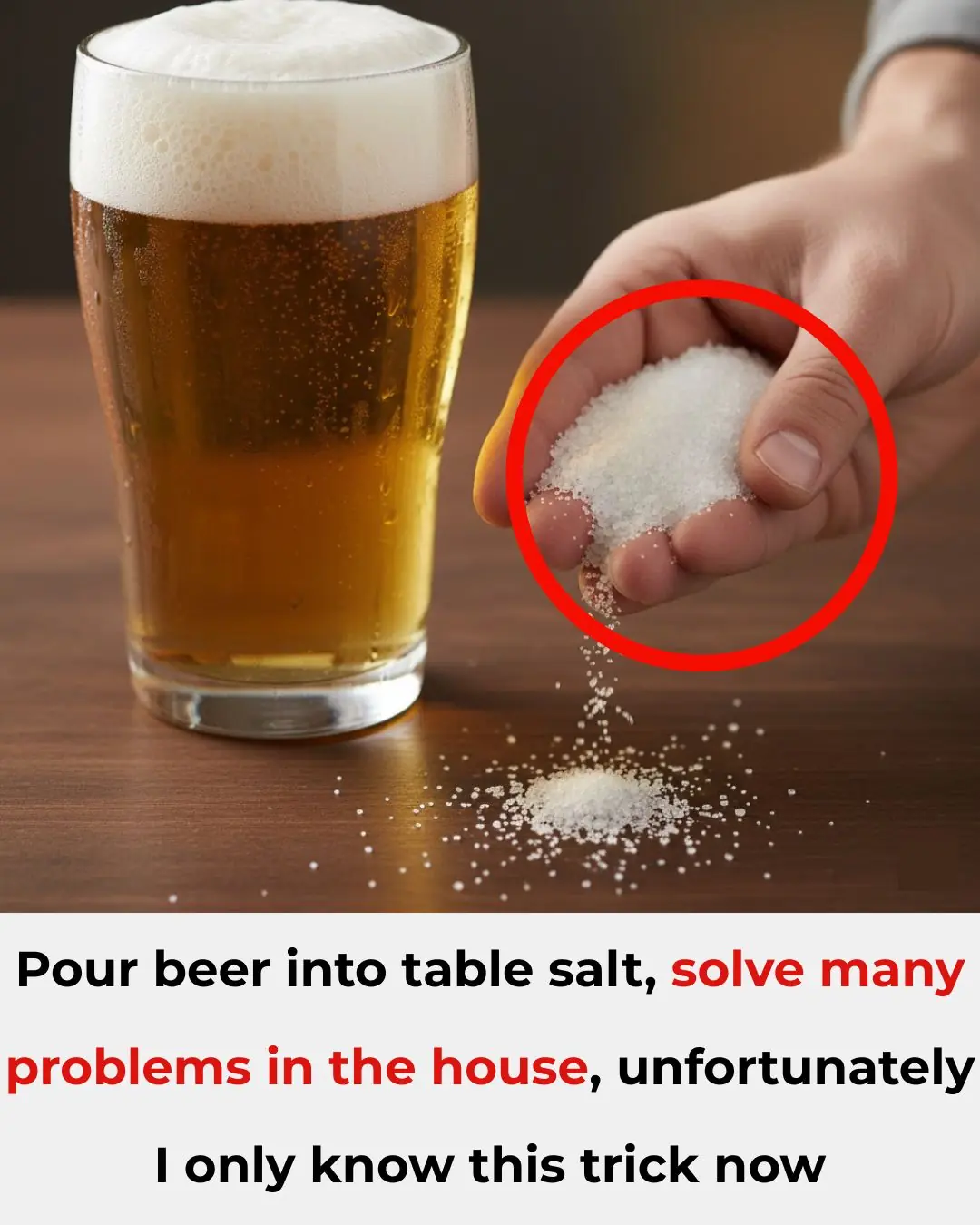 Pouring Beer Into Table Salt? It Solves So Many Household Problems — I Wish I’d Known This Trick Sooner!