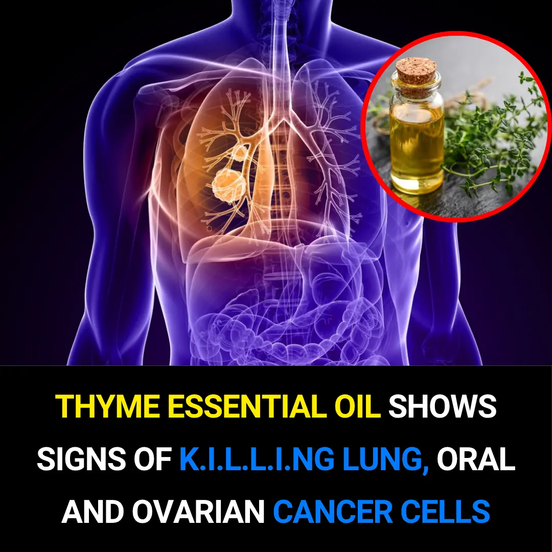 Thyme Essential Oil Shows Promise in Killing Lung, Oral, and Ovarian Cancer Cells