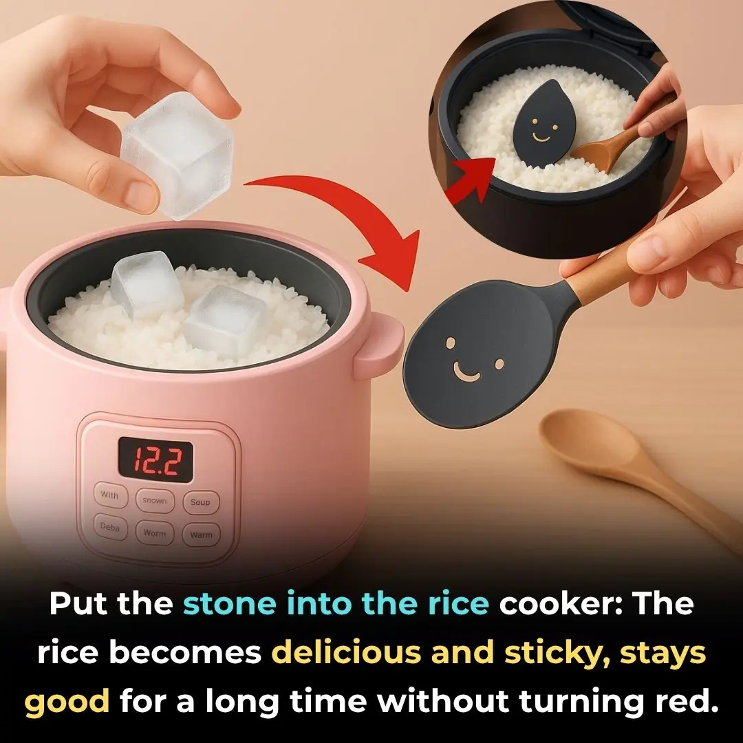 Put the stone into the rice cooker: The rice becomes delicious and sticky, stays good for a long time without turning red.