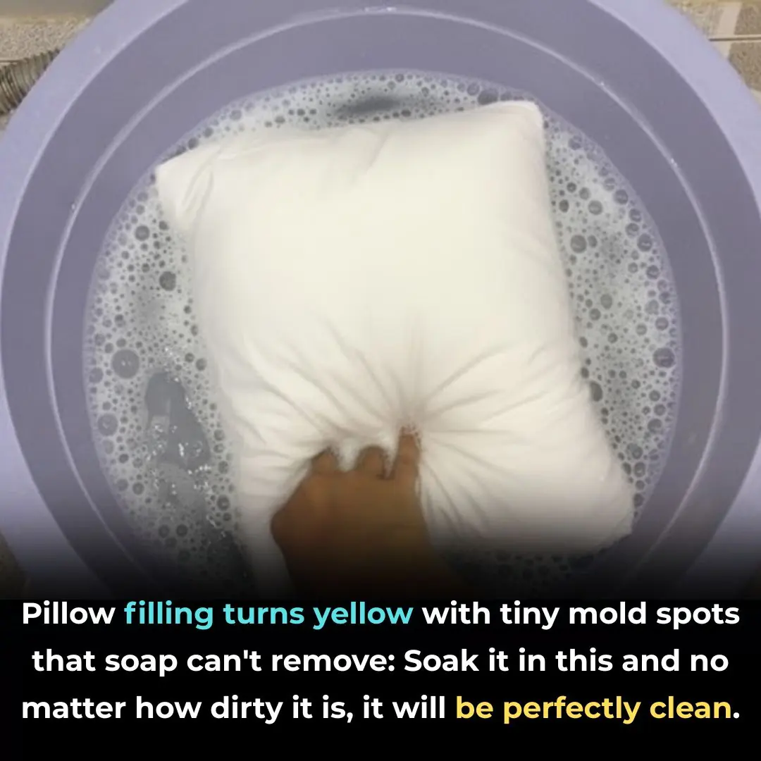 Pillow filling turns yellow with tiny mold spots that soap can't remove: Soak it in this and even heavy dirt will come out spotless